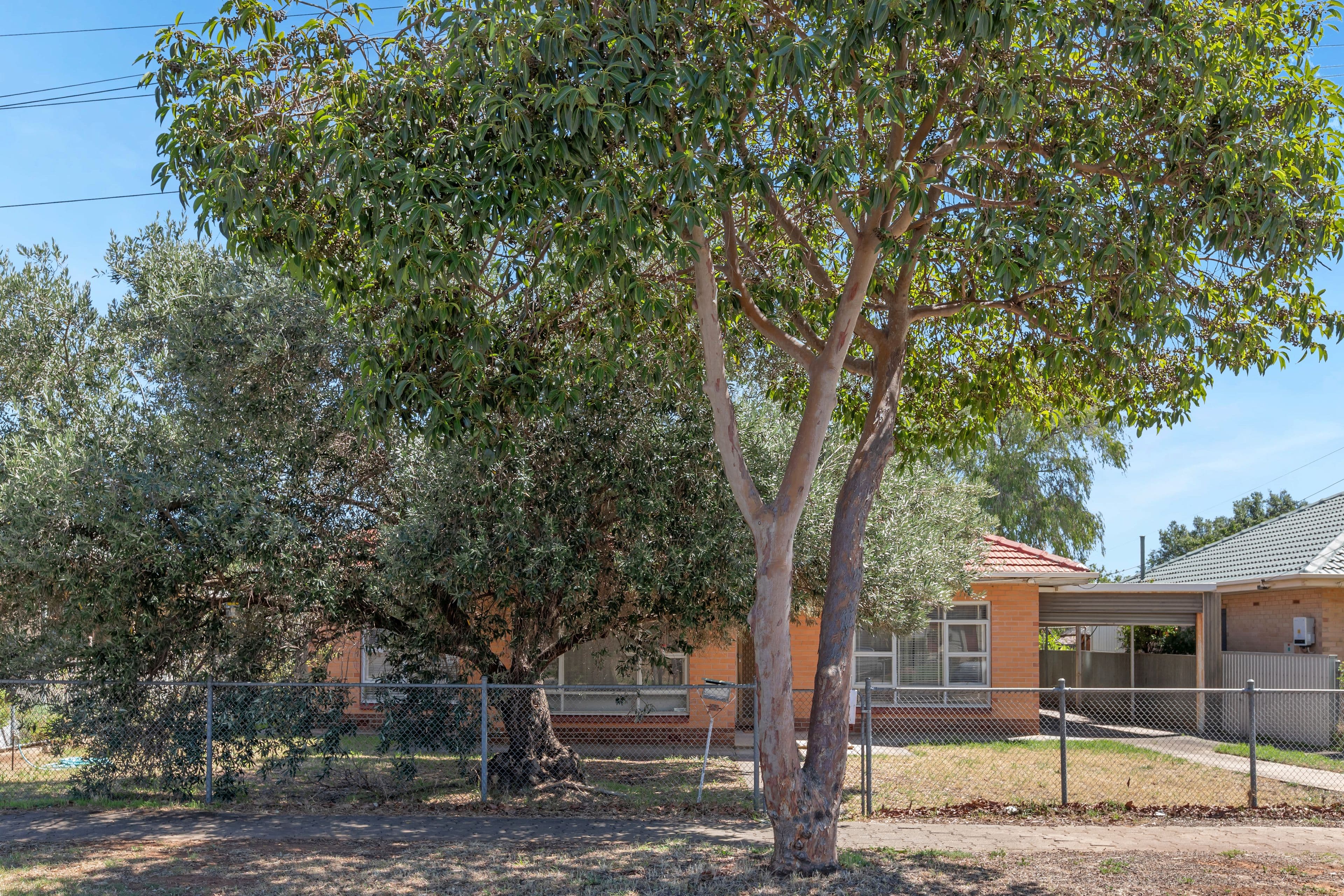 7 Adaluma Avenue, Pooraka SA 5095, Pooraka - Thumbnail 3