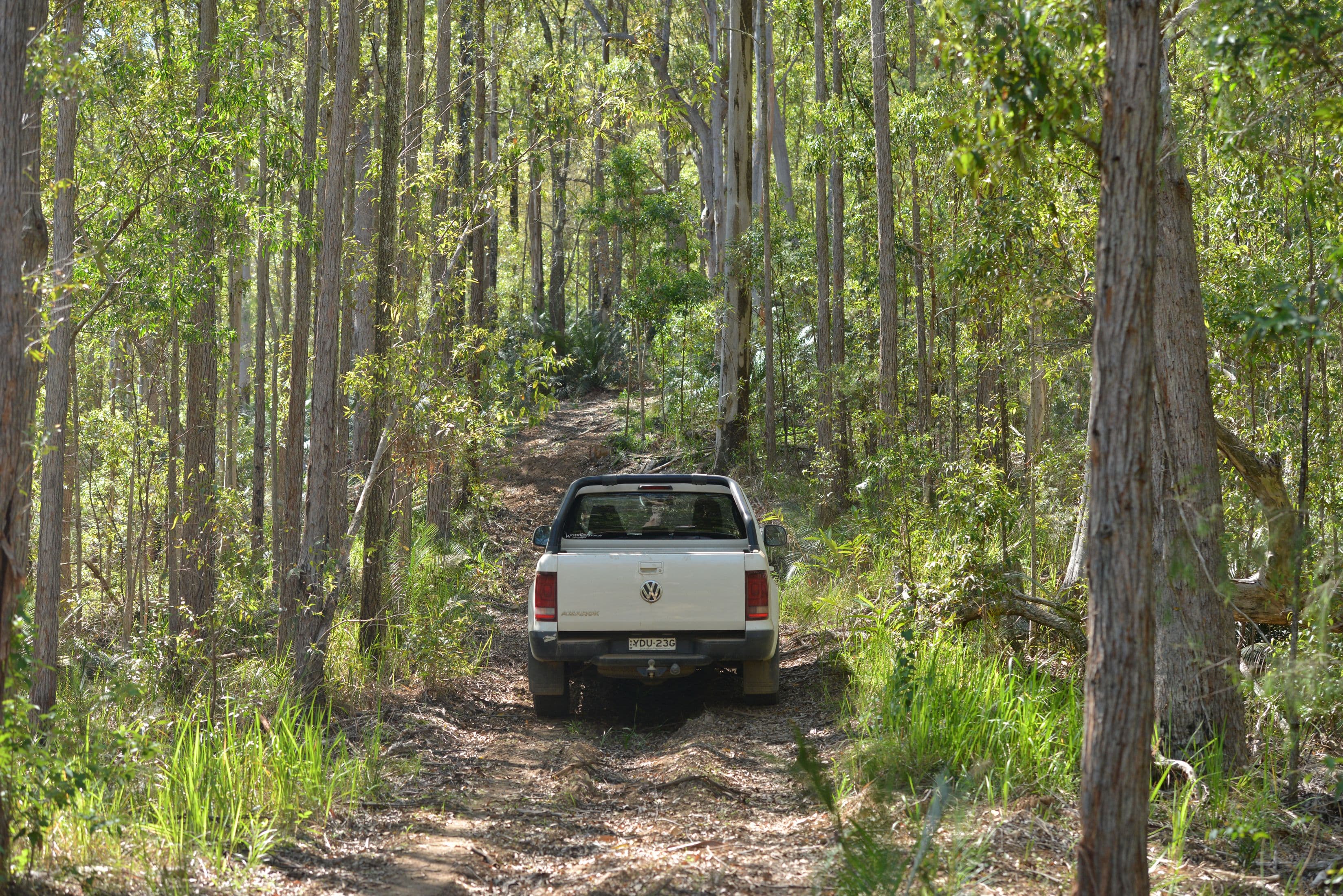 Lot 156 Nowendoc Road, Knorrit Flat NSW 2424, Knorrit Flat - Thumbnail 7