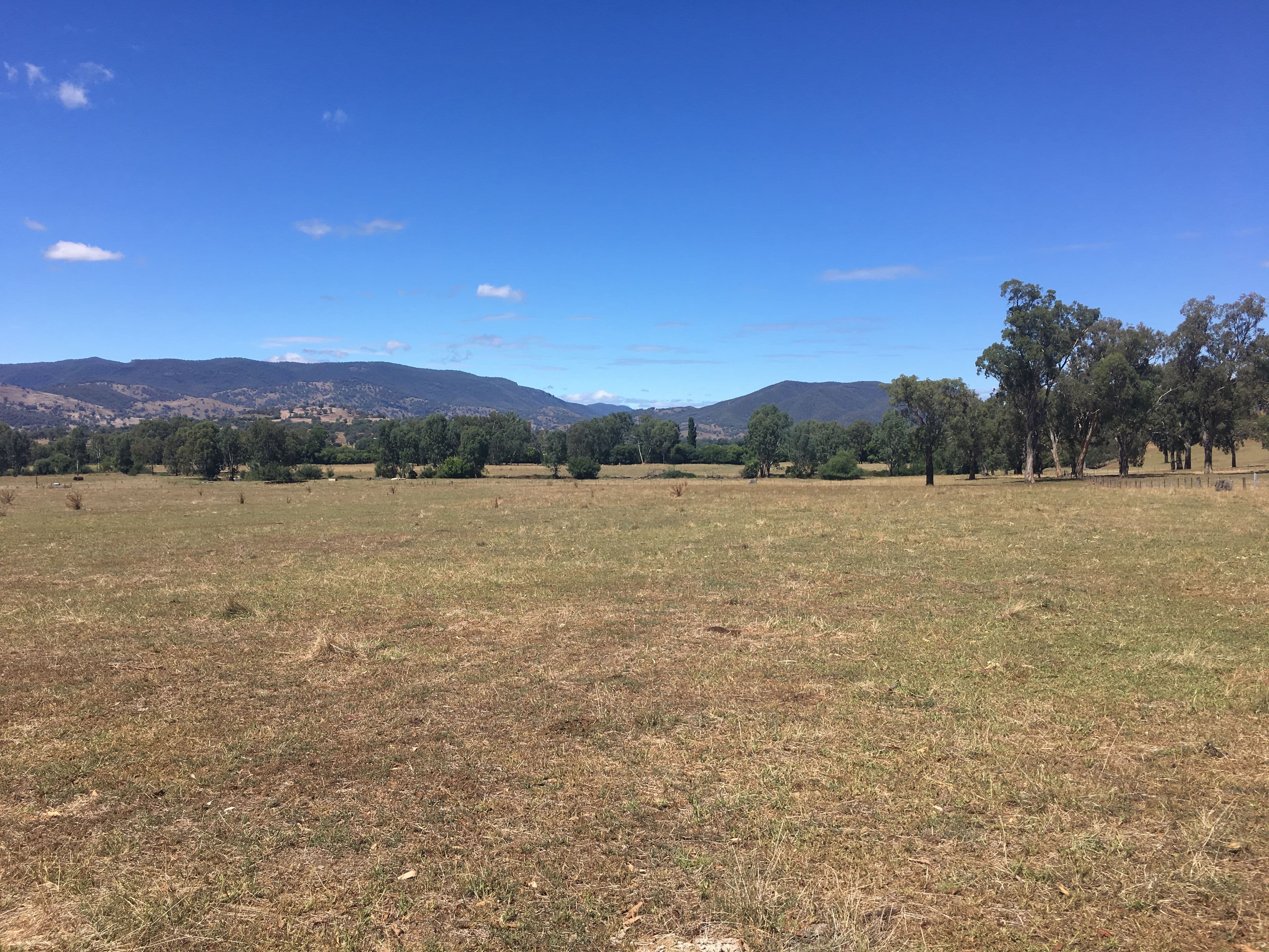 Wannawong 530 Lacmalac Road, Tumut NSW 2720, Tumut - Thumbnail 2