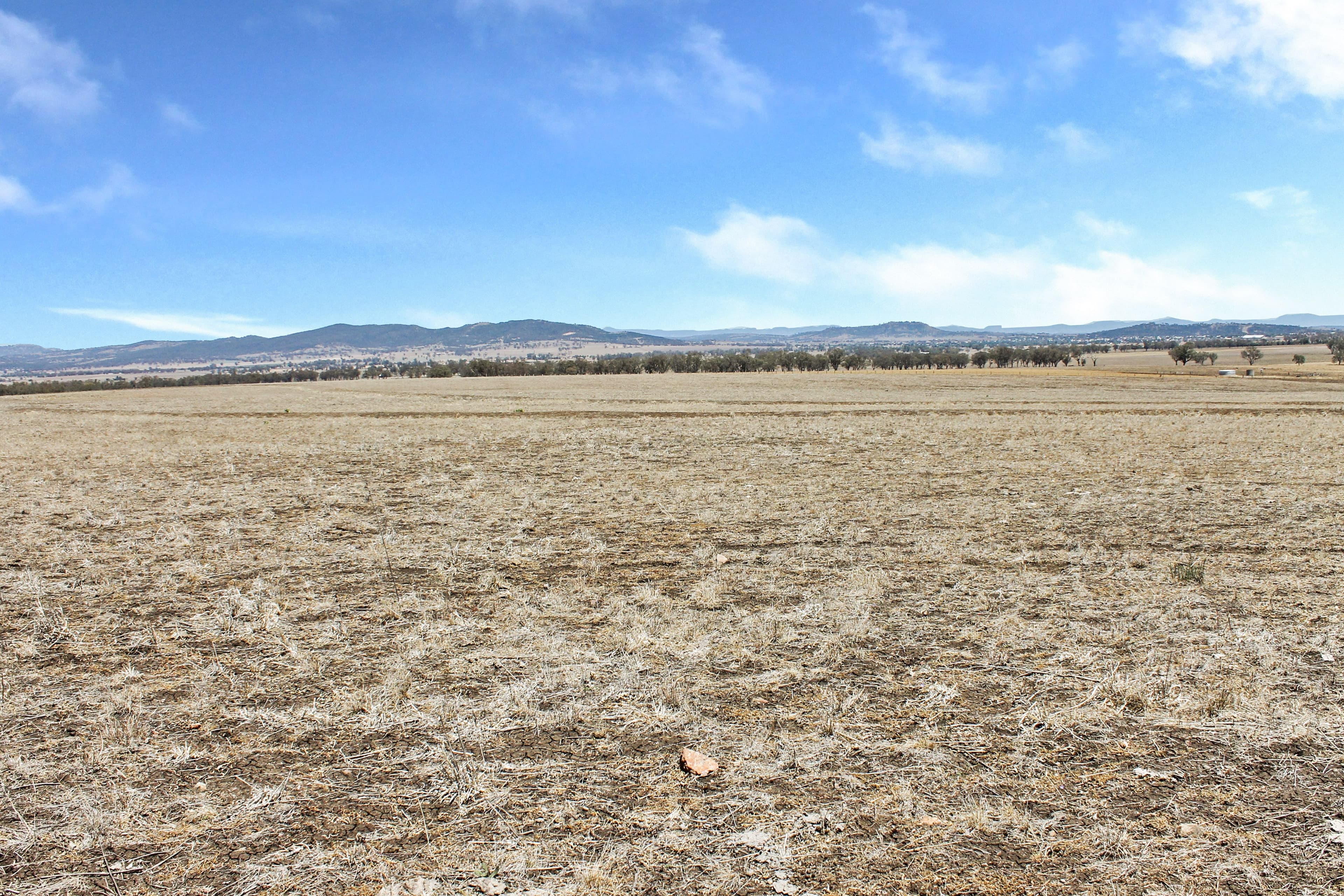 237 Porters Lane, Quirindi NSW 2343, Quirindi - Thumbnail 4