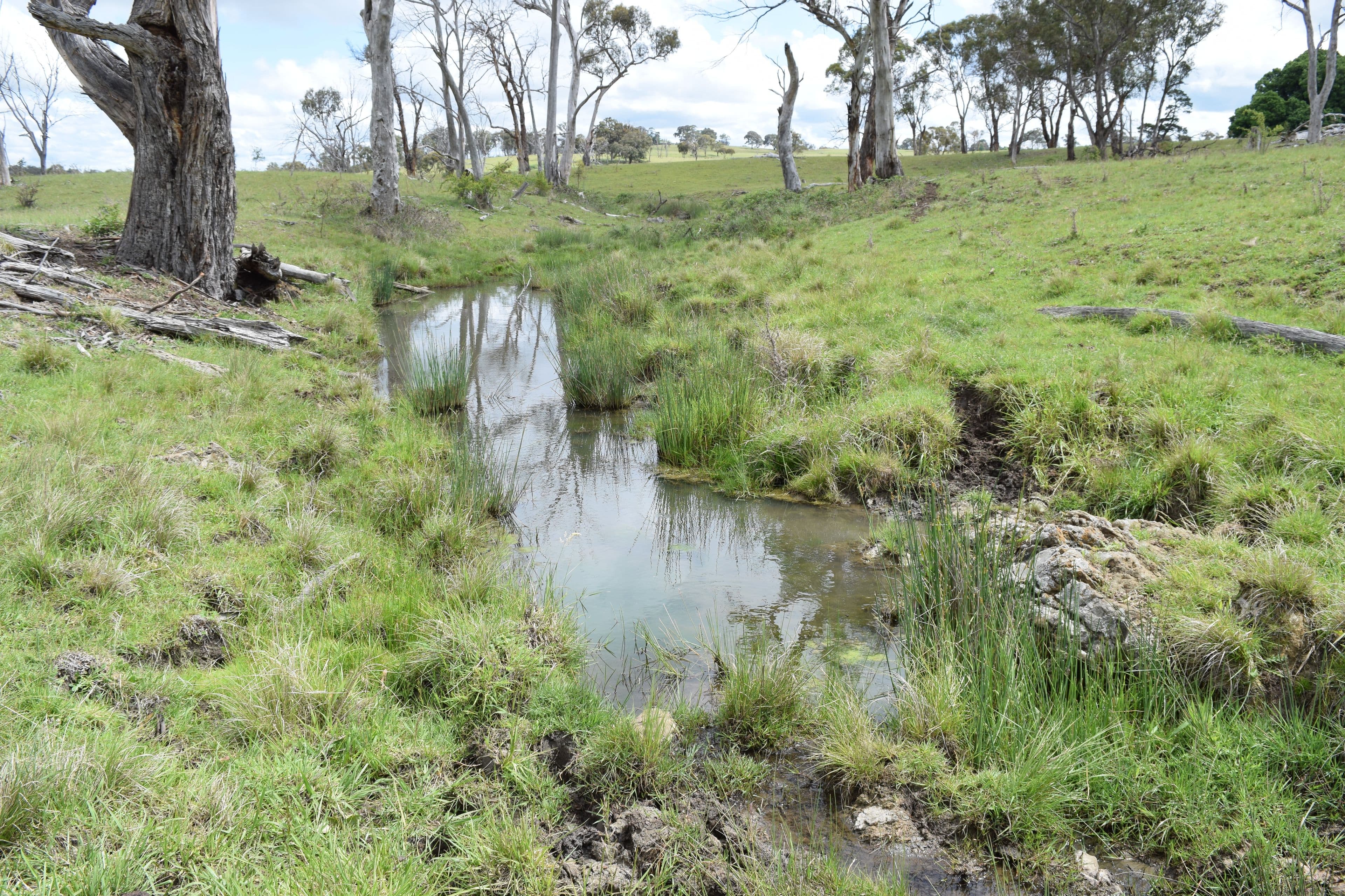 460 Donald Road, Armidale NSW 2350, Armidale - Image 1