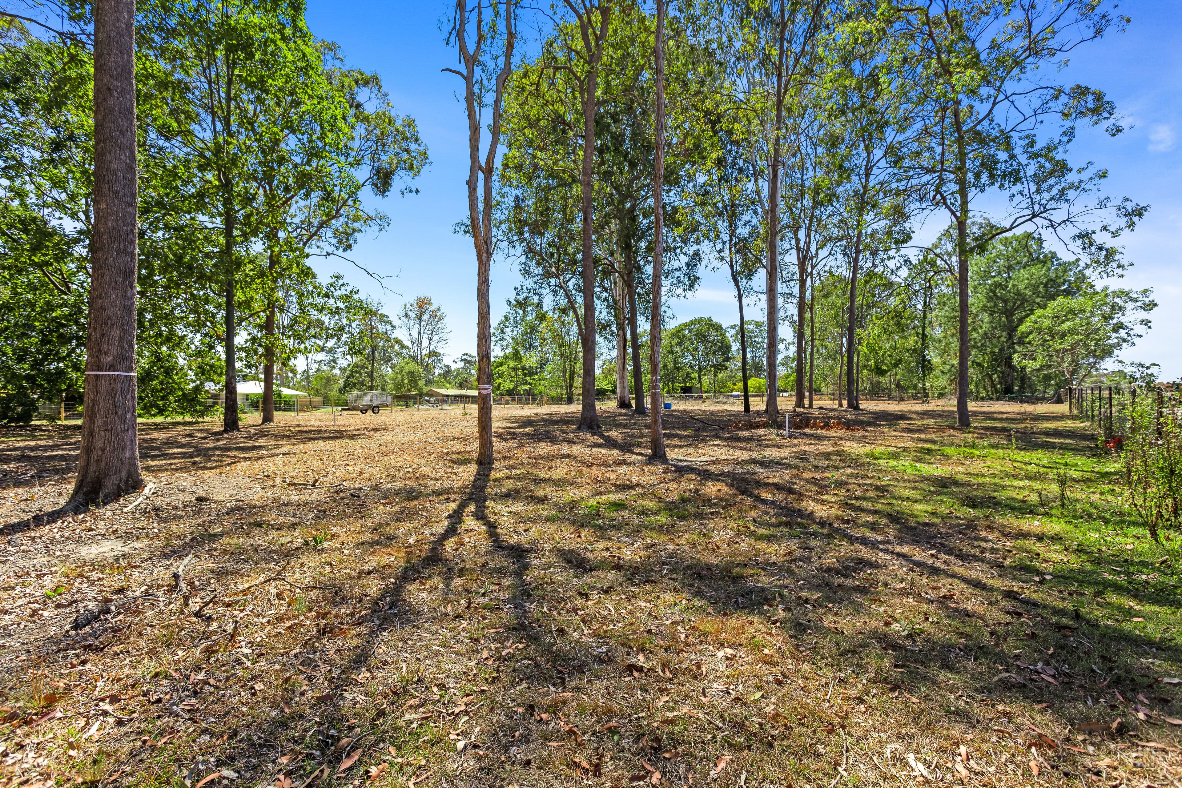 13-17 McLoughlin Road, Morayfield QLD 4506, Morayfield - Thumbnail 8