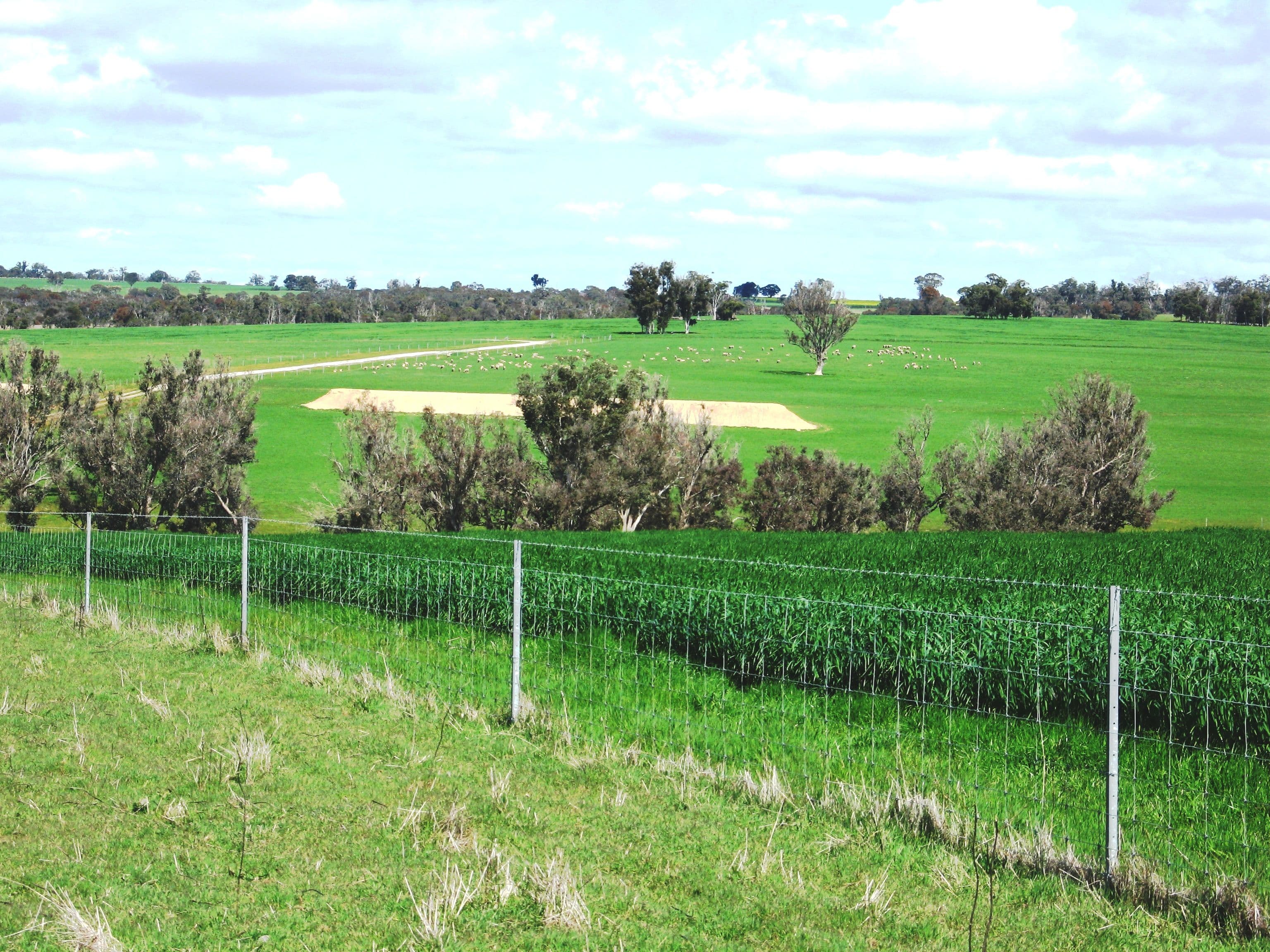 Hyfield, Crossburn, Yaralla, KOJONUP WA 6395, Kojonup - Thumbnail 3