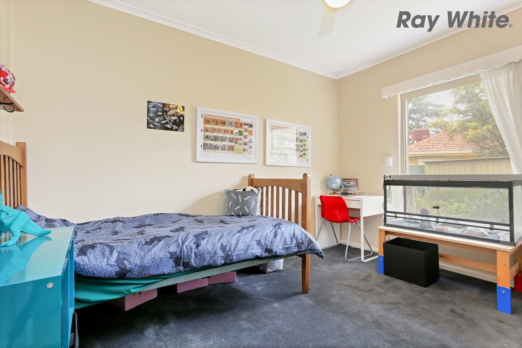 27 Norfolk Road, Marion SA 5043, Marion - Thumbnail 4