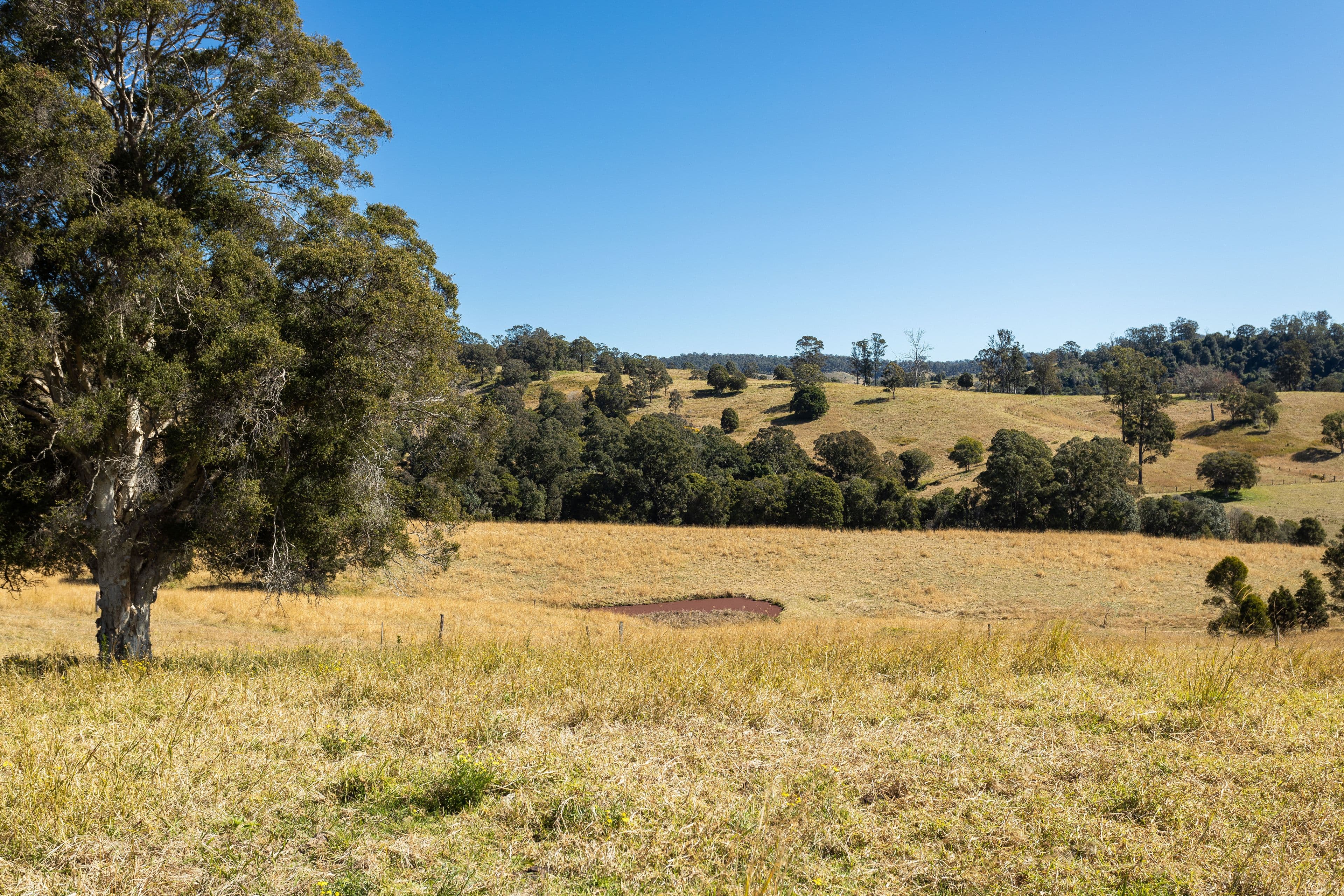 139 Sawpit Lane, Wallanbah NSW 2422, Wallanbah - Thumbnail 5