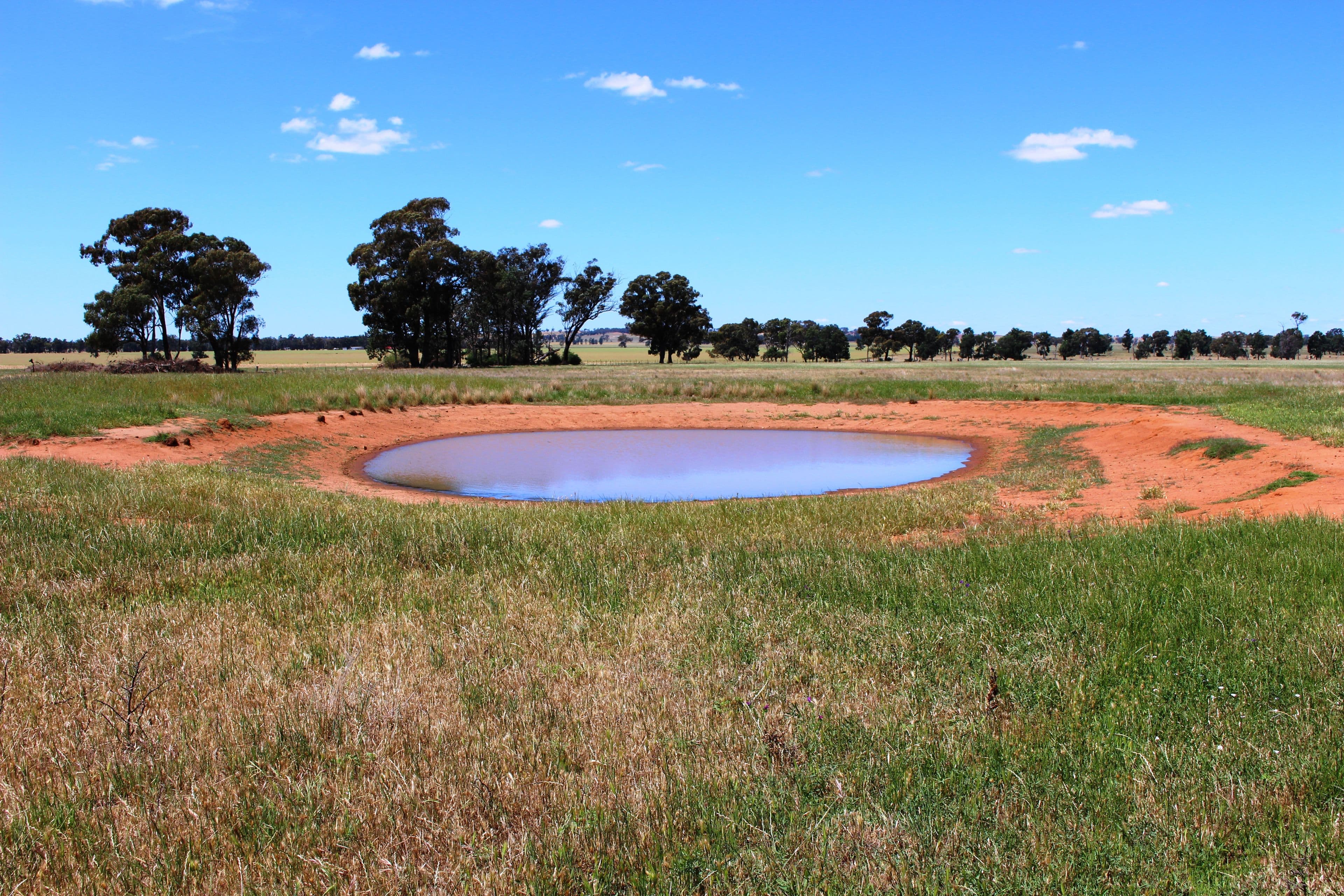 Coolamon NSW 2701, Coolamon - Thumbnail 3