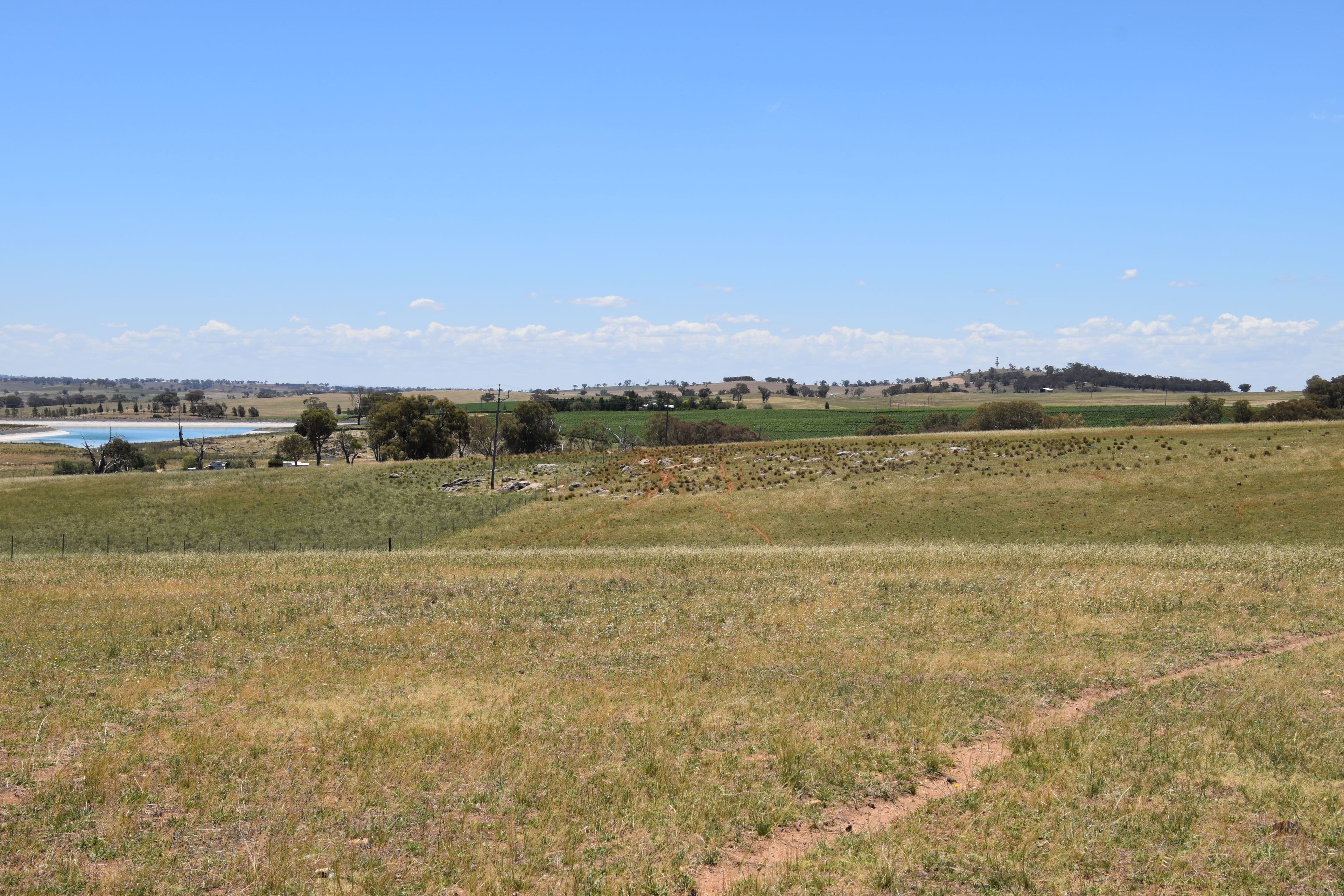 'Old Beri' Euchareena, Molong NSW 2866, Molong - Thumbnail 8