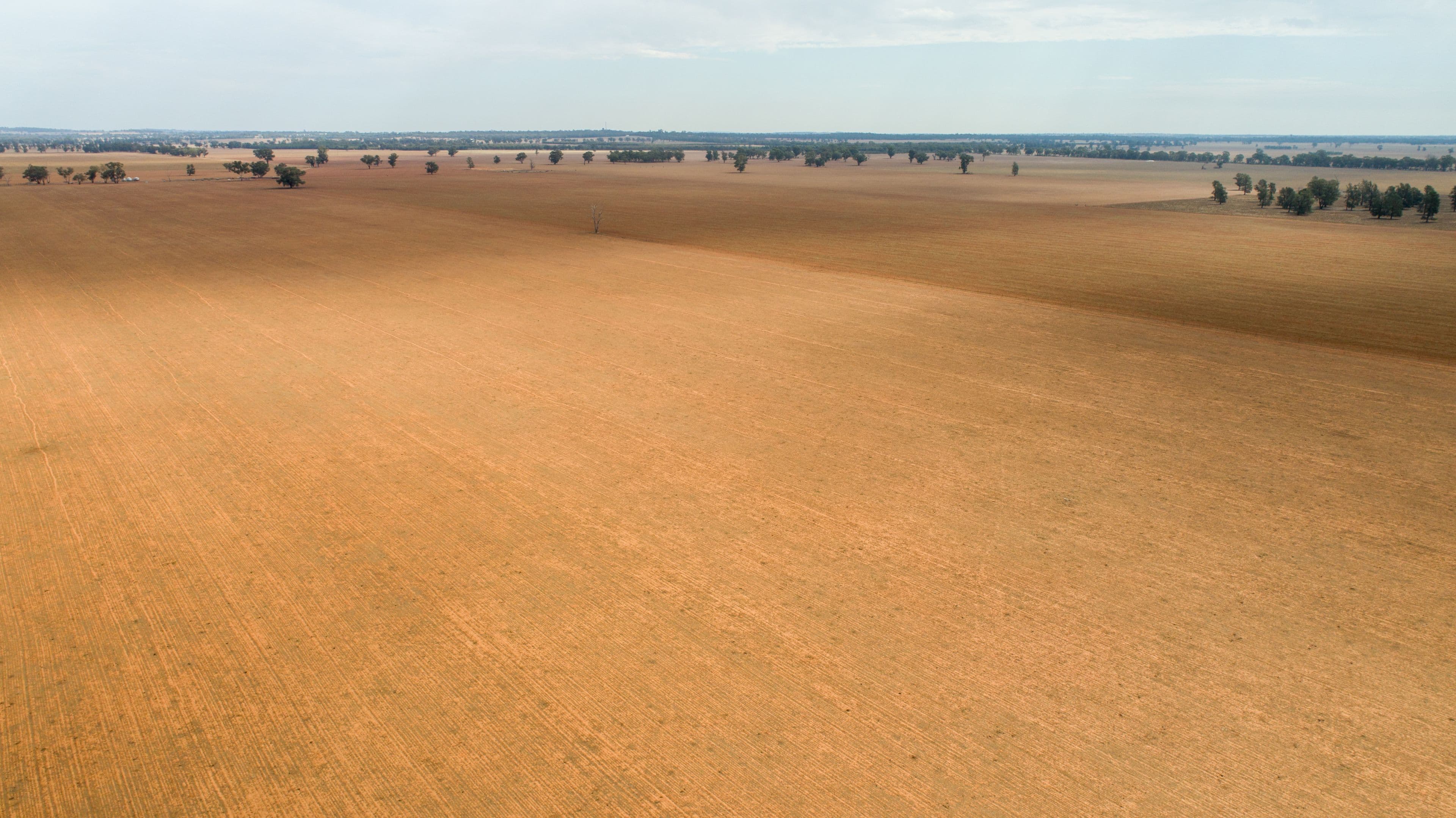 Coolamon NSW 2701, Coolamon - Thumbnail 4