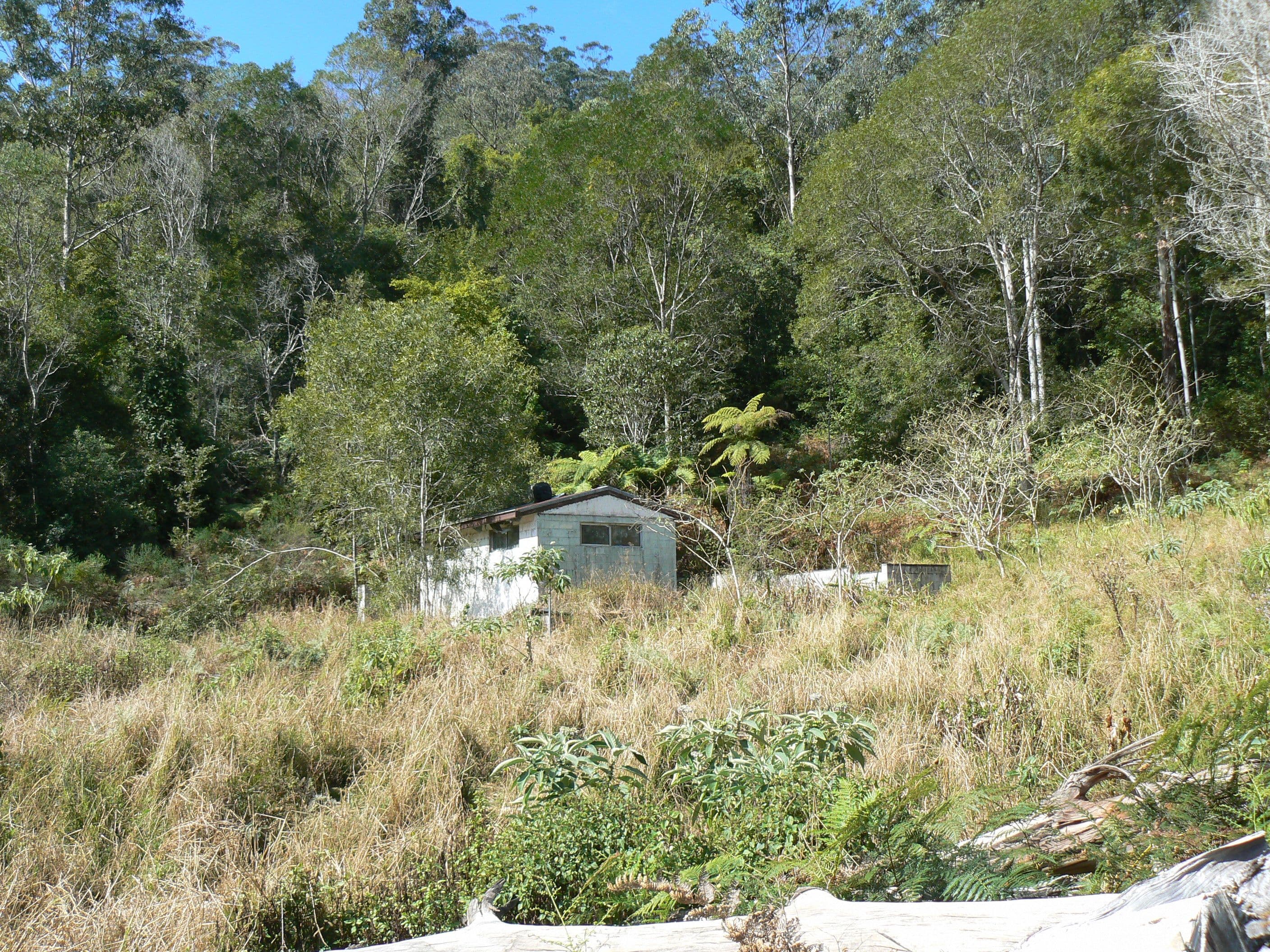 1243 Kalang Road, Bellingen NSW 2454, Bellingen - Thumbnail 5