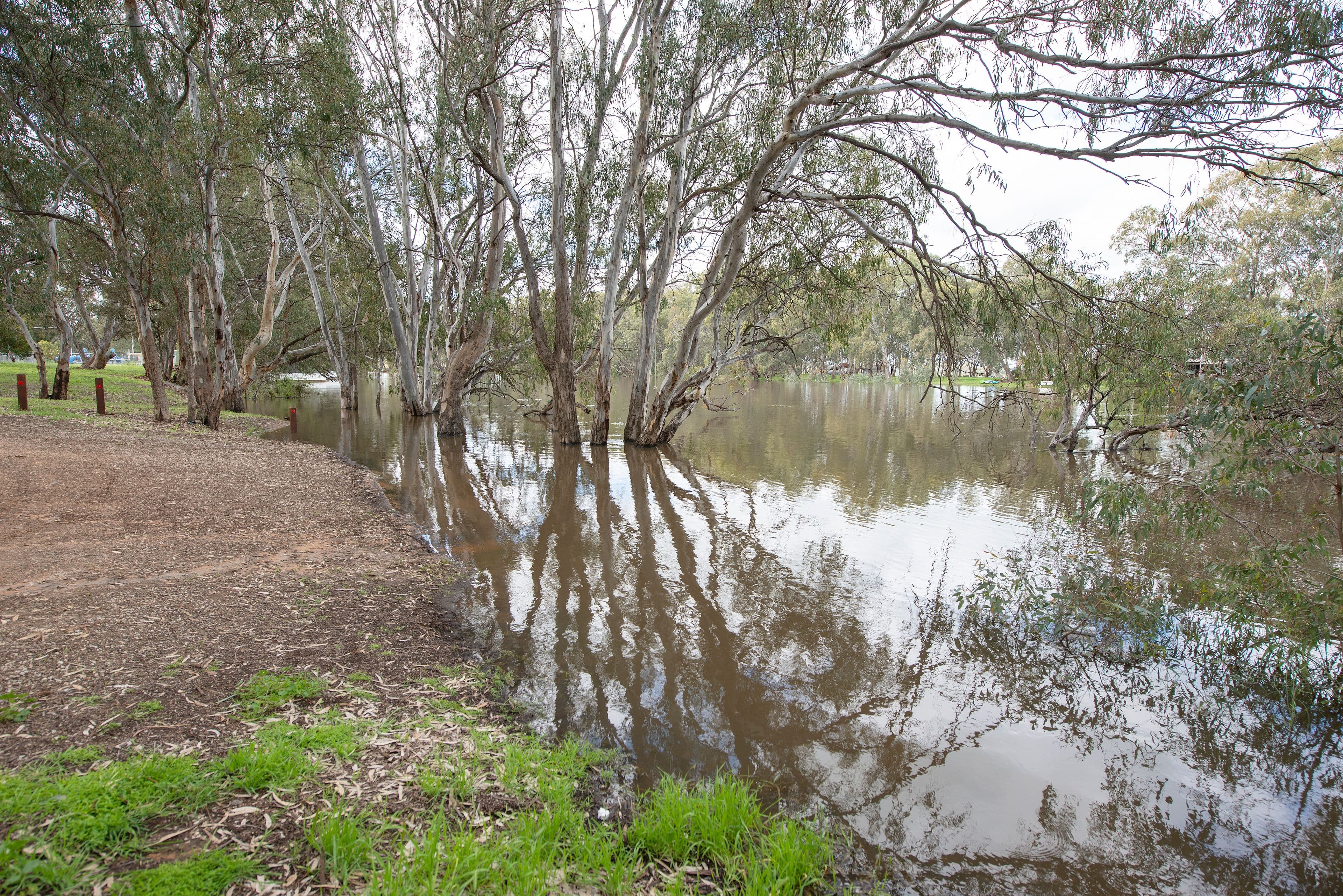 Unit 1, 9B Naretha Street, Swan Hill VIC 3585, Swan Hill - Thumbnail 7