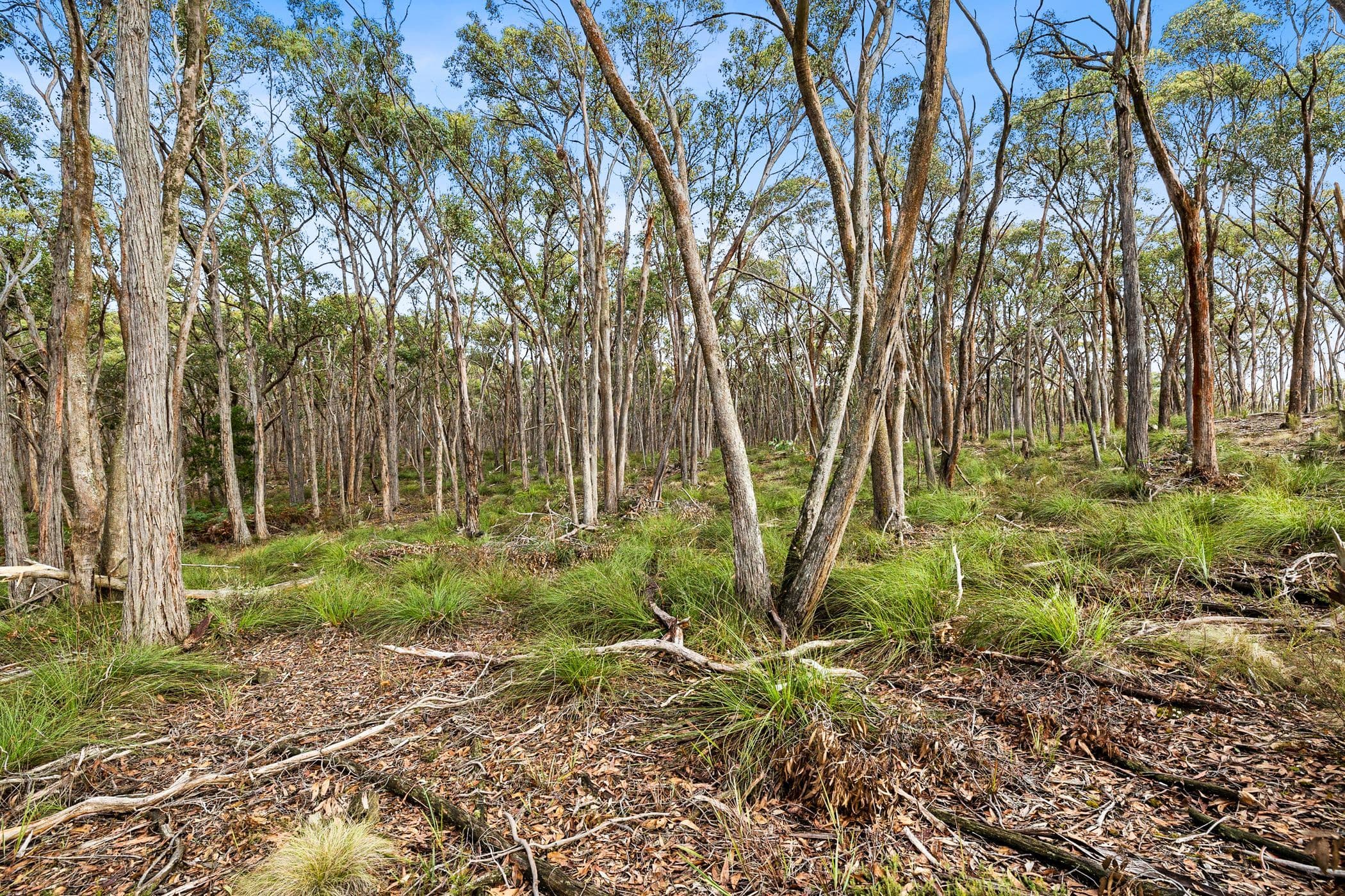 90 Miners Hut Road, Smythesdale VIC 3351, Smythesdale - Thumbnail 4
