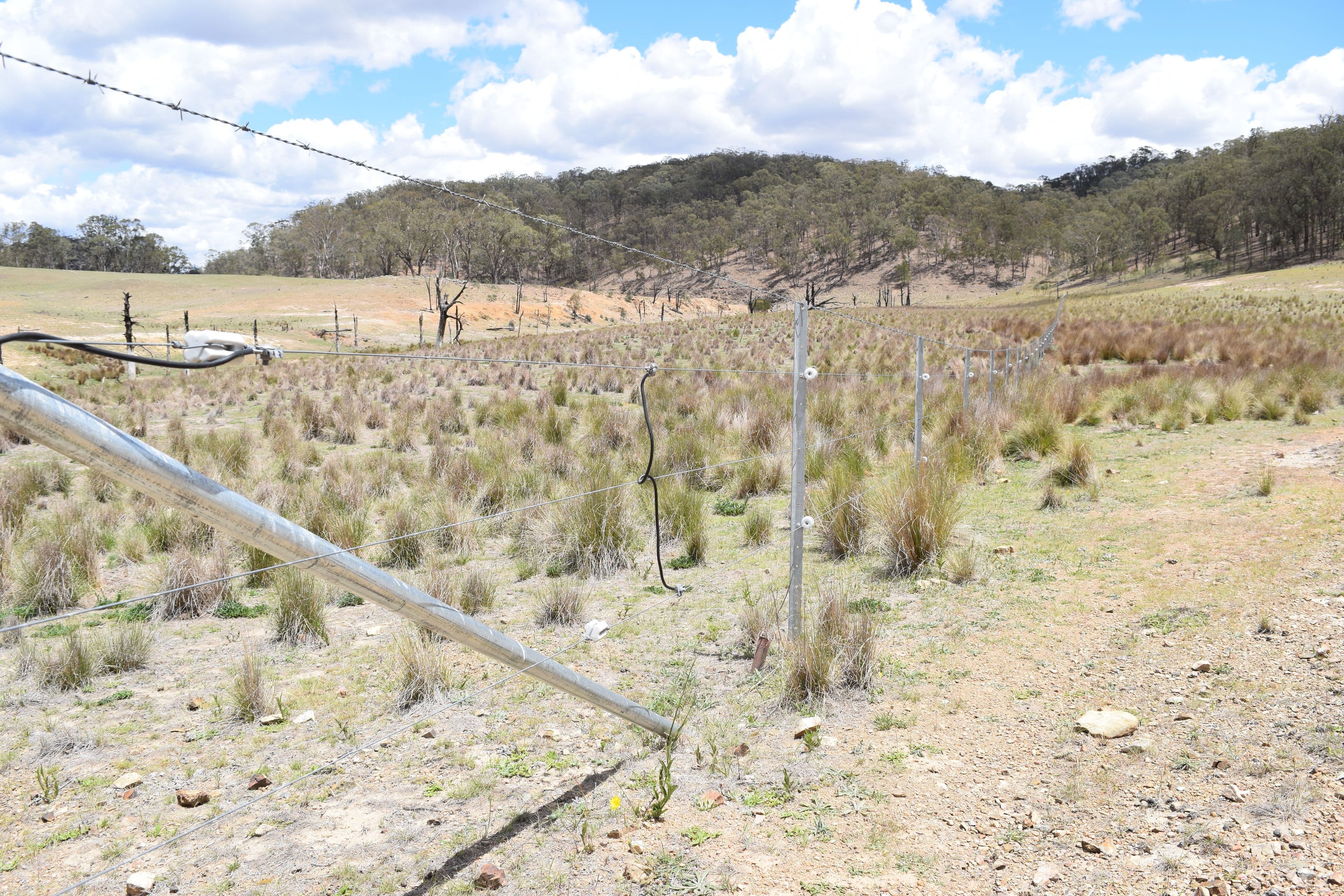 13419 Kempsey Road, Wollomombi NSW 2350, Wollomombi - Thumbnail 6