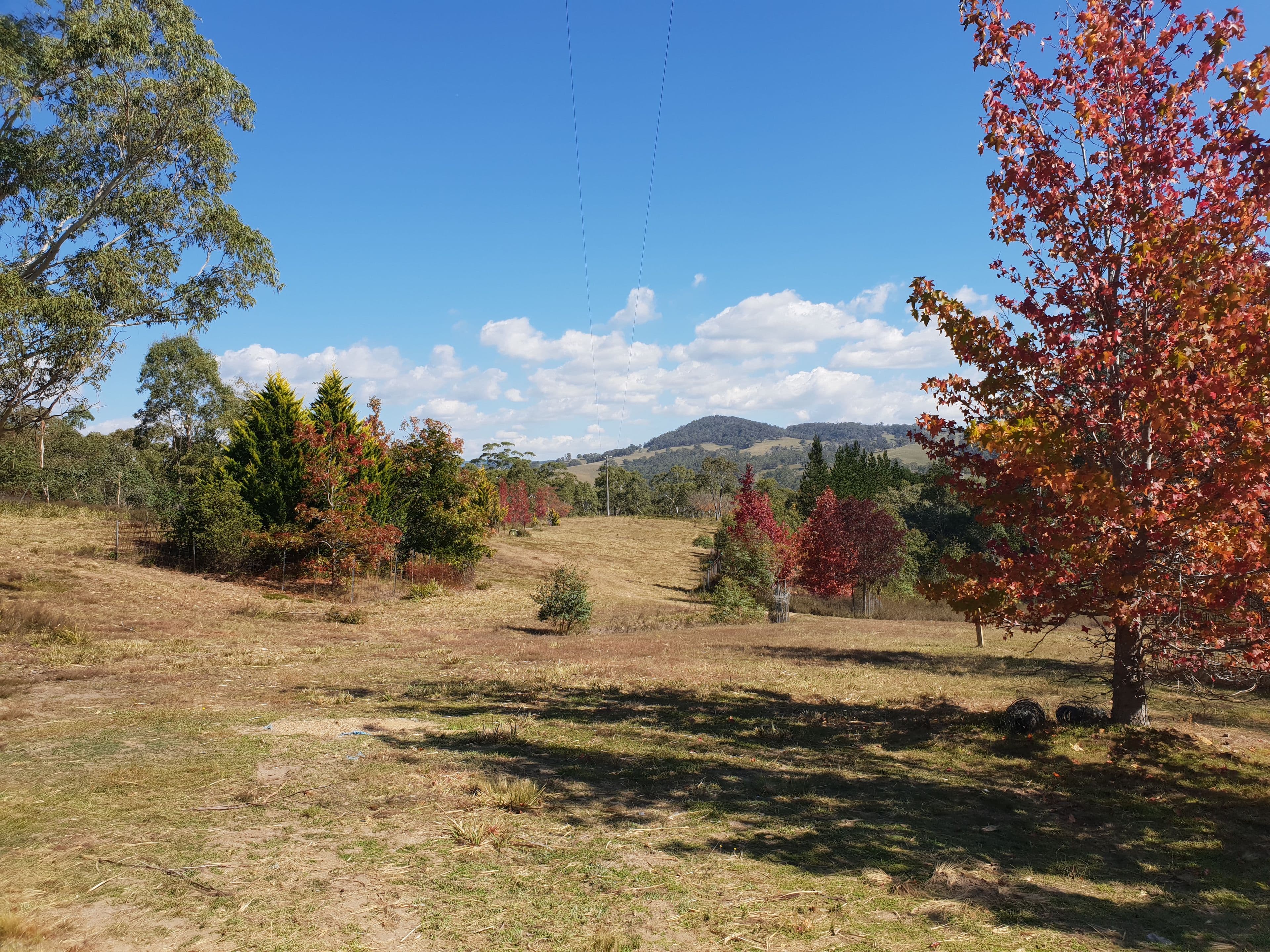 1821 Cooma Road, Bendoura NSW 2622, Bendoura - Image 1