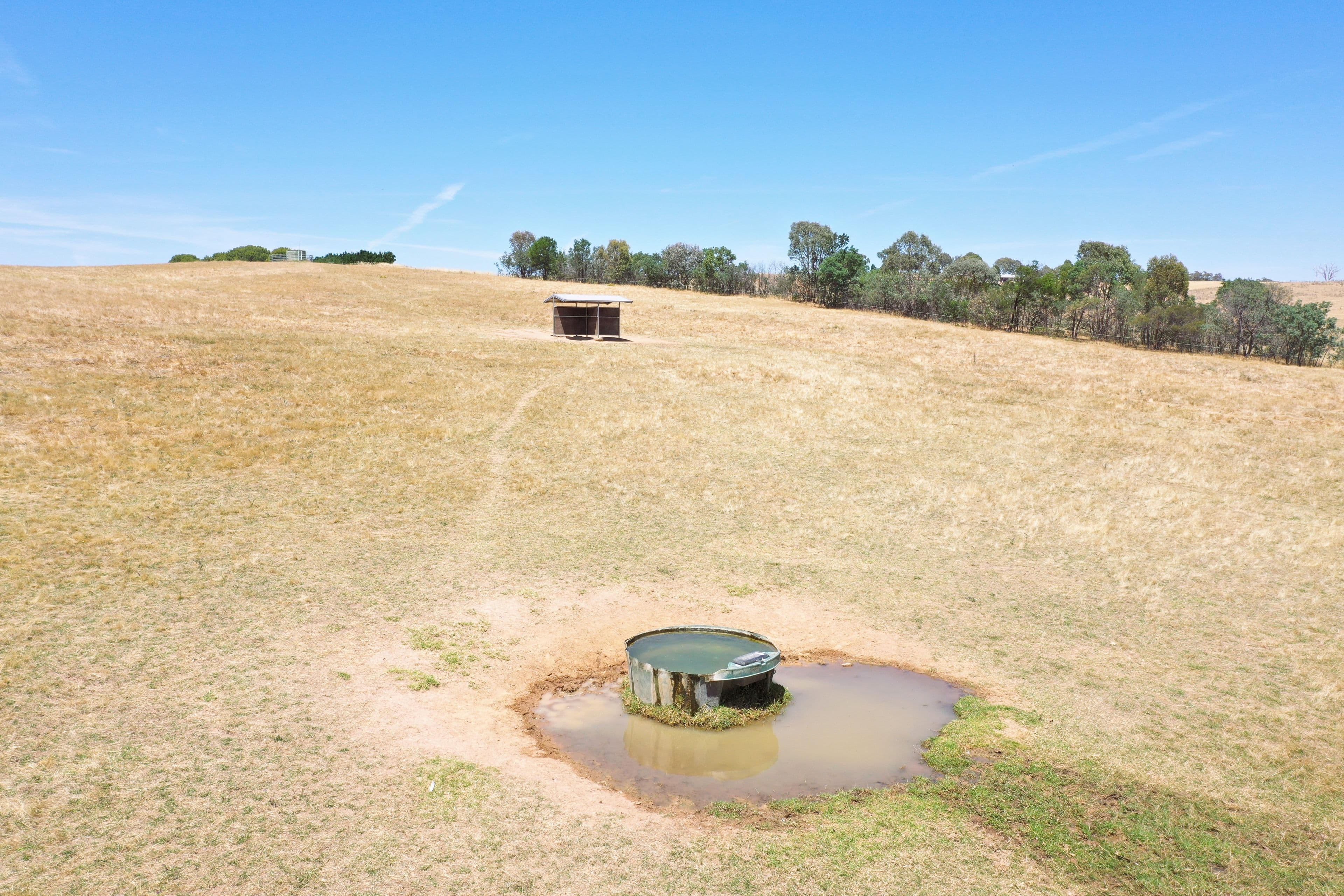 195 Wambanumba Drive, Young NSW 2594, Young - Thumbnail 6