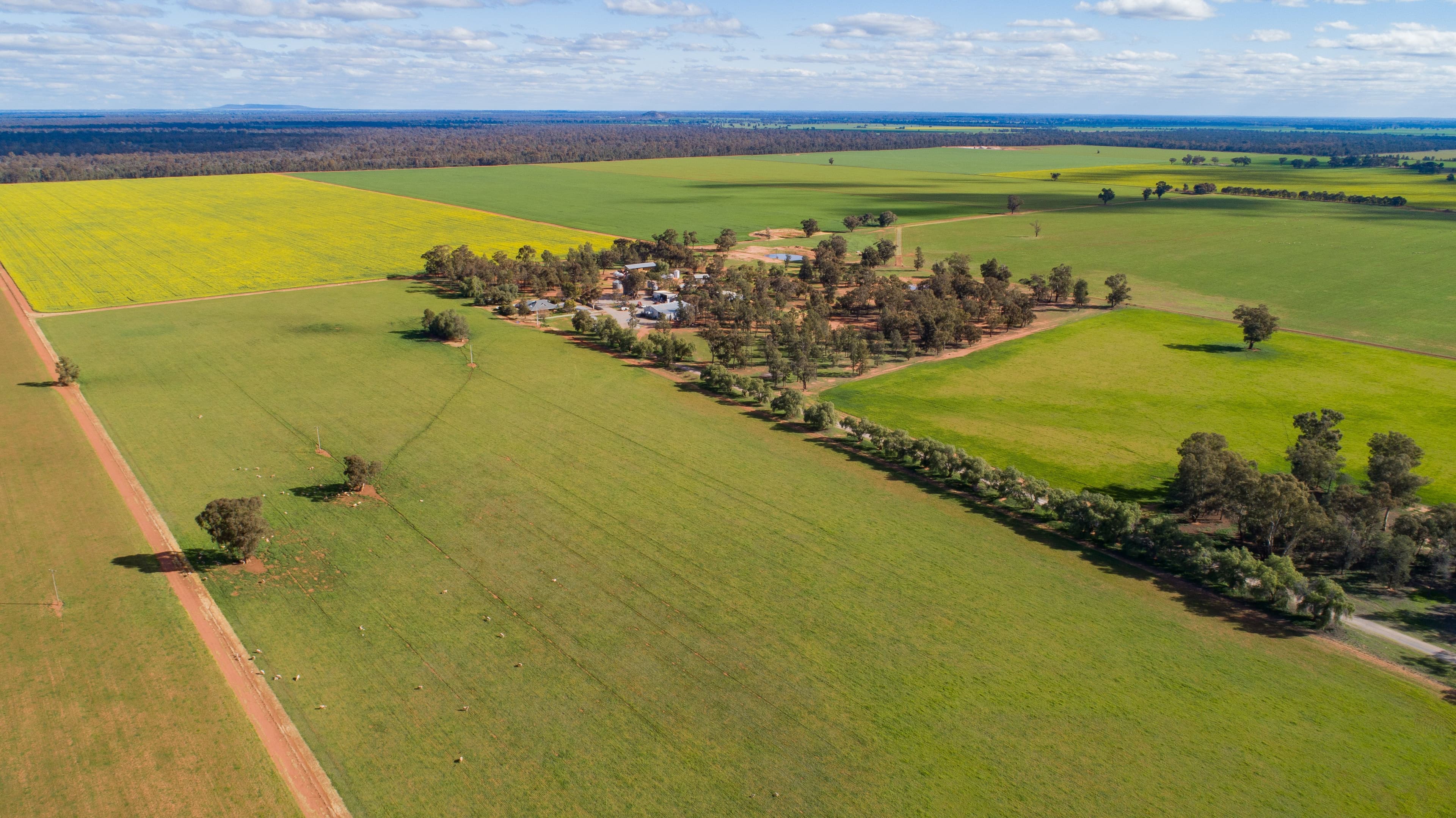 1292 Lower Middle Road, Ganmain Via, Coolamon NSW 2701, Coolamon - Thumbnail 4