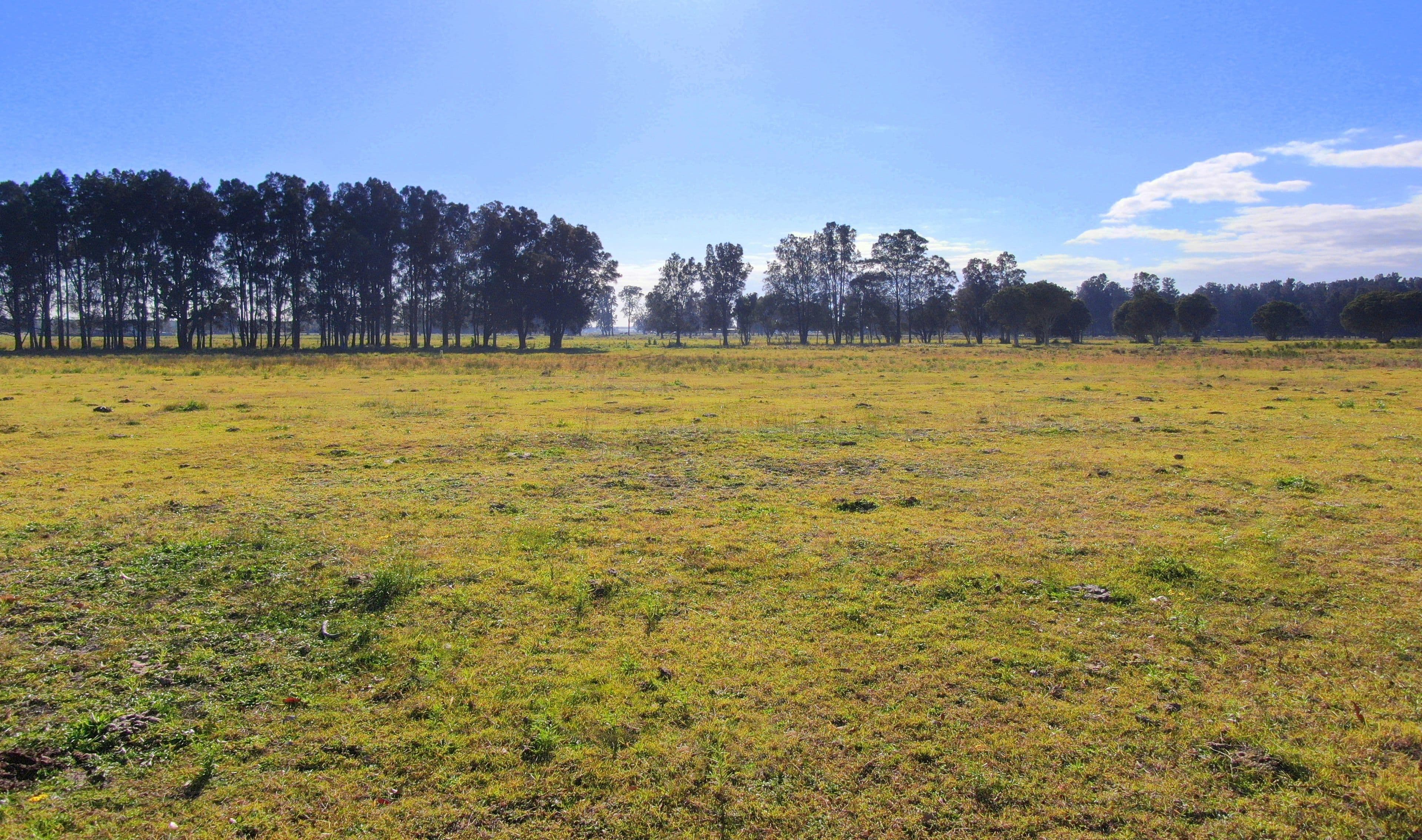 118 Fullerton Cove Road, Fullerton Cove NSW 2318, Fullerton Cove - Thumbnail 2