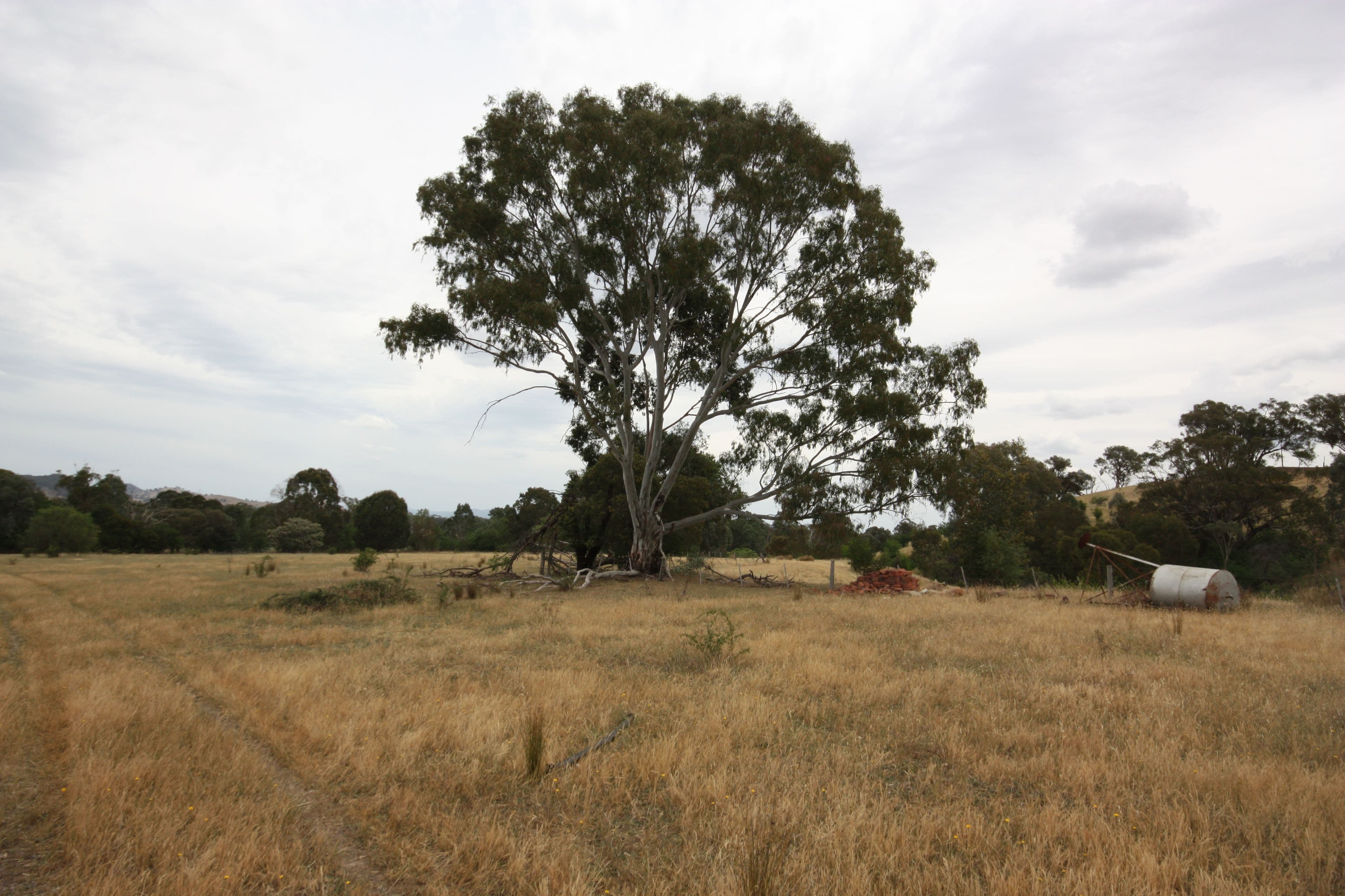 1805 Kilfeera Road, Molyullah VIC 3673, Molyullah - Thumbnail 6