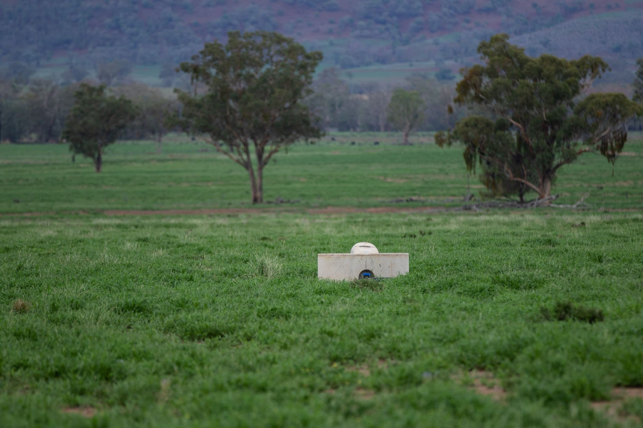 8321 Killarney Gap Road, Pallal NSW 2404, Pallal - Thumbnail 3