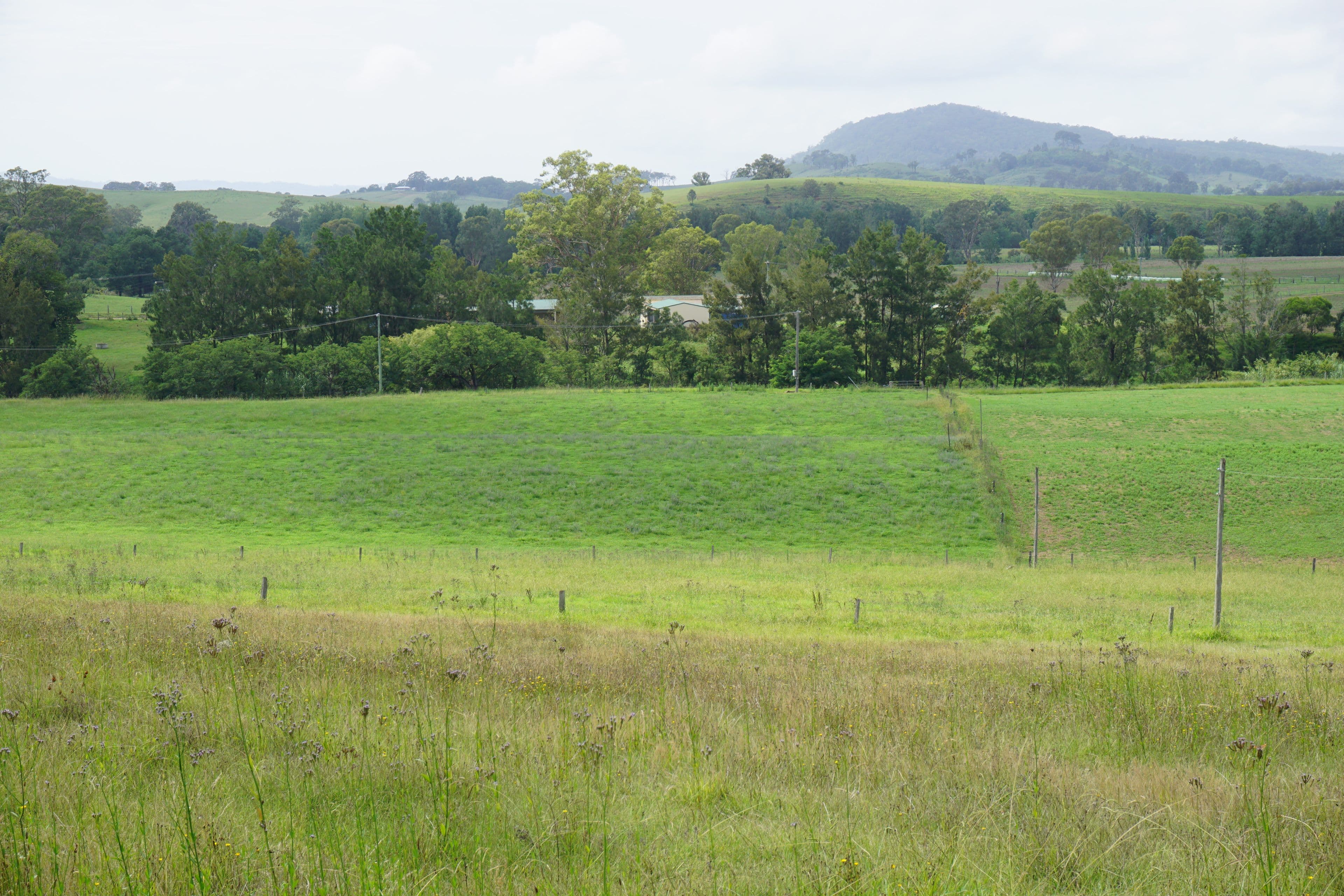 2484 Glendonbrook Road, Gresford NSW 2311, Gresford - Thumbnail 6
