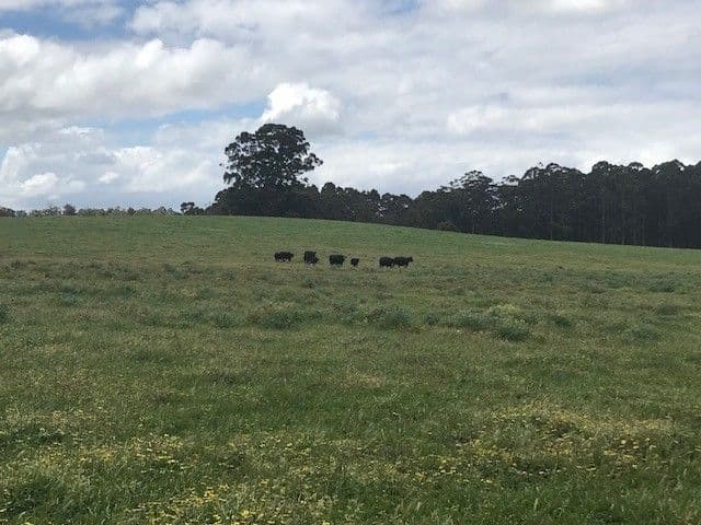 West Manjimup, Waugh Road, MANJIMUP WA 6258, Manjimup - Thumbnail 3