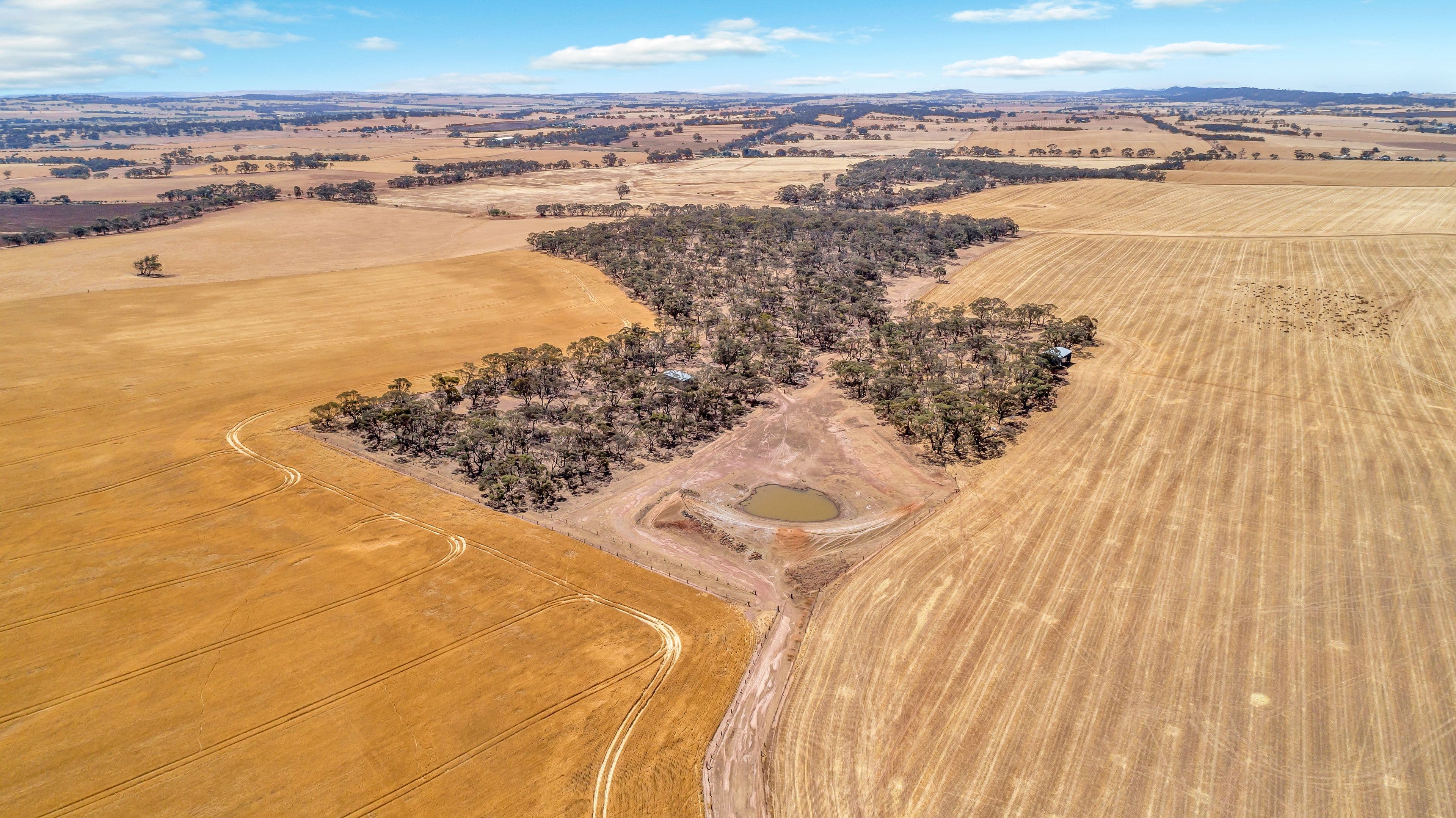 'Roehrs' 249 Roehr Road, Tarnma SA 5413, Tarnma - Thumbnail 8