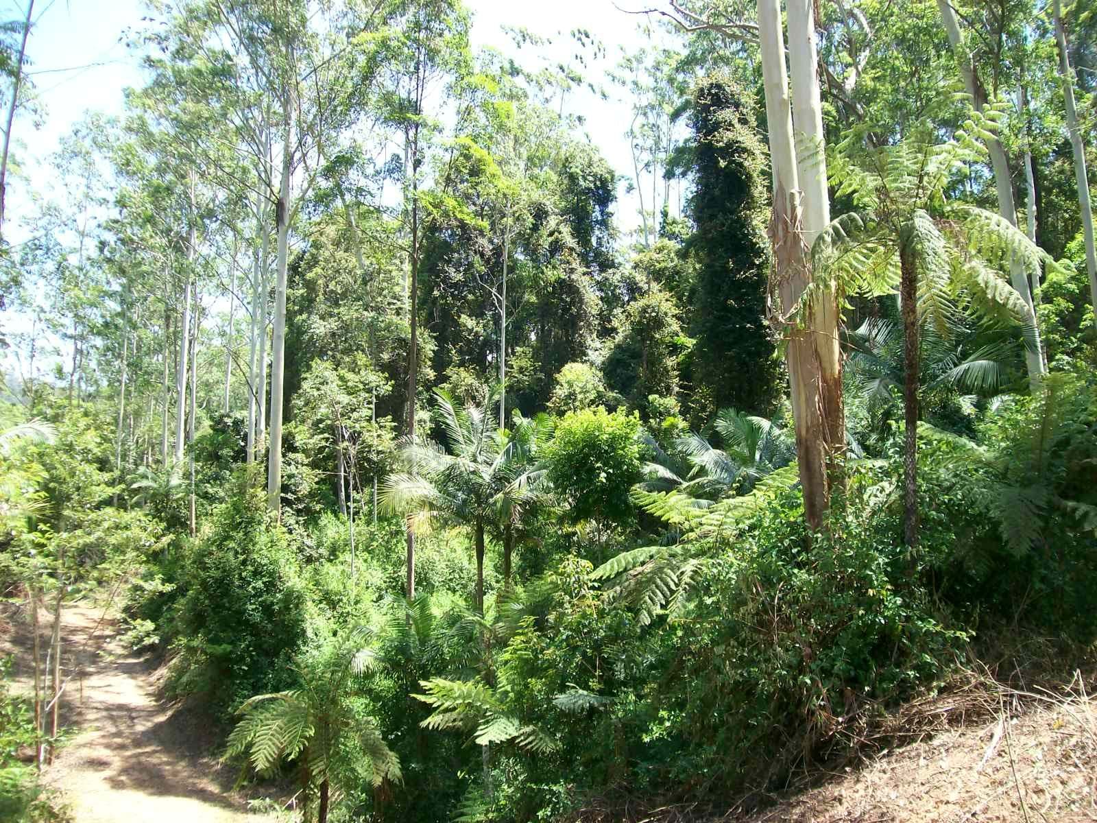 3566 Kalang Road Kalang, Bellingen NSW 2454, Bellingen - Thumbnail 5