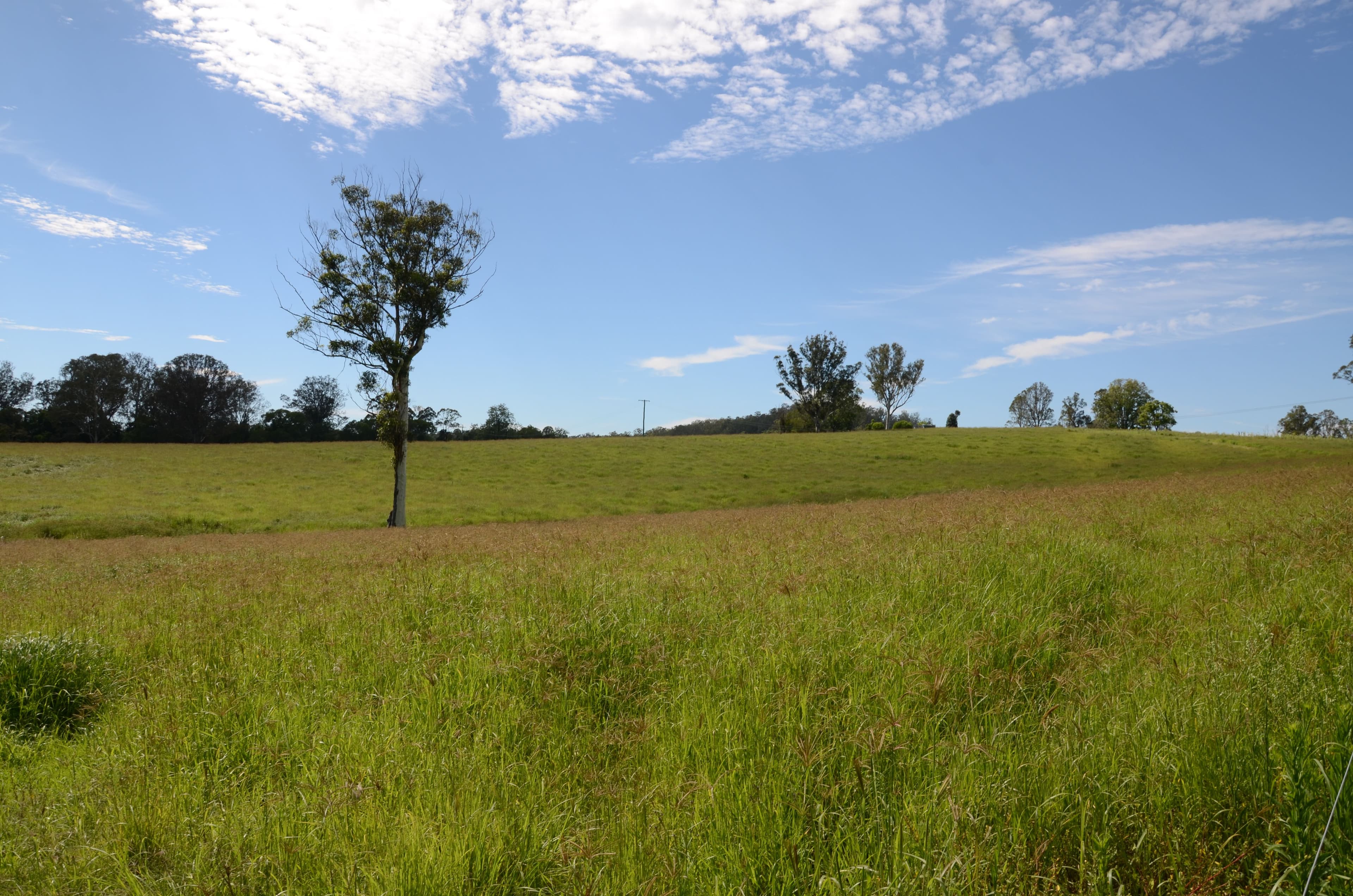 1197 Kenilworth Skyring Creek Road, Tuchekoi QLD 4570, Tuchekoi - Thumbnail 3