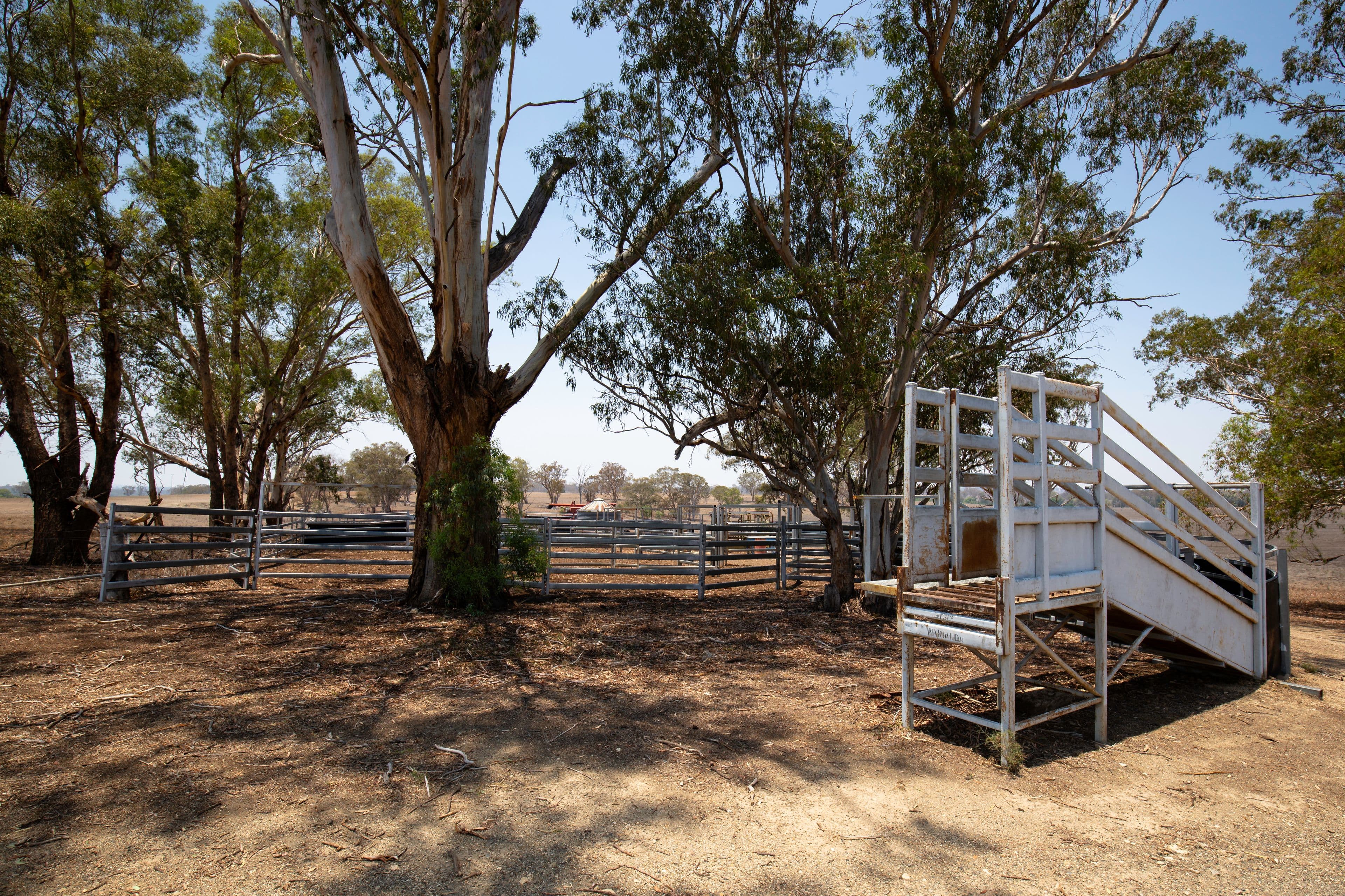 460 Wynella Road, Oakwood NSW 2360, Oakwood - Thumbnail 4