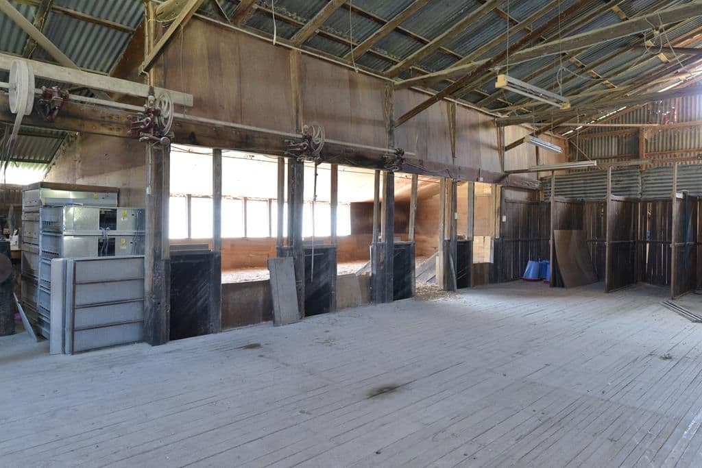 924a Kildare Road, Tenterfield NSW 2372, Tenterfield - Thumbnail 4