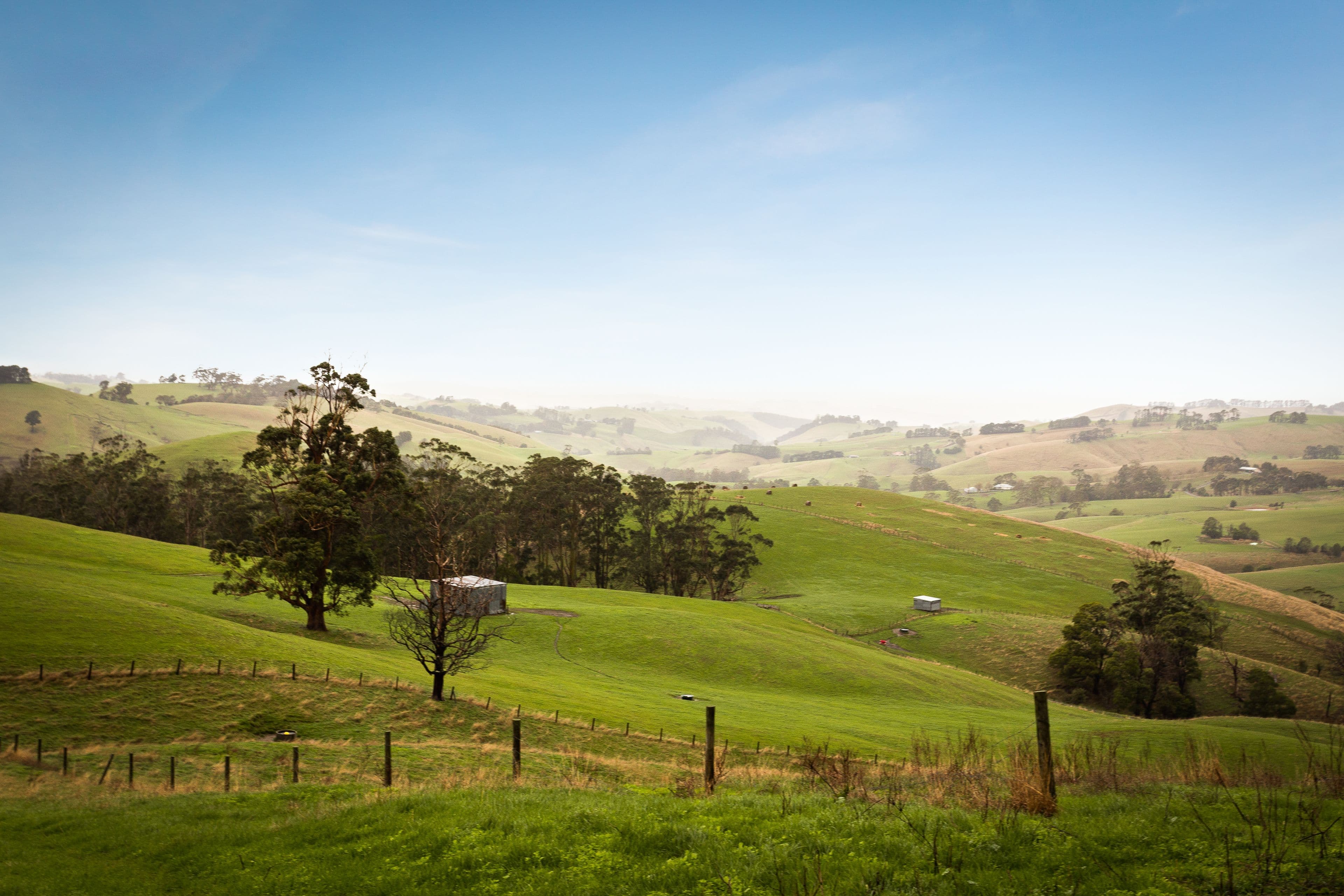 110 Rowes Road, Ranceby VIC 3951, Ranceby - Thumbnail 7