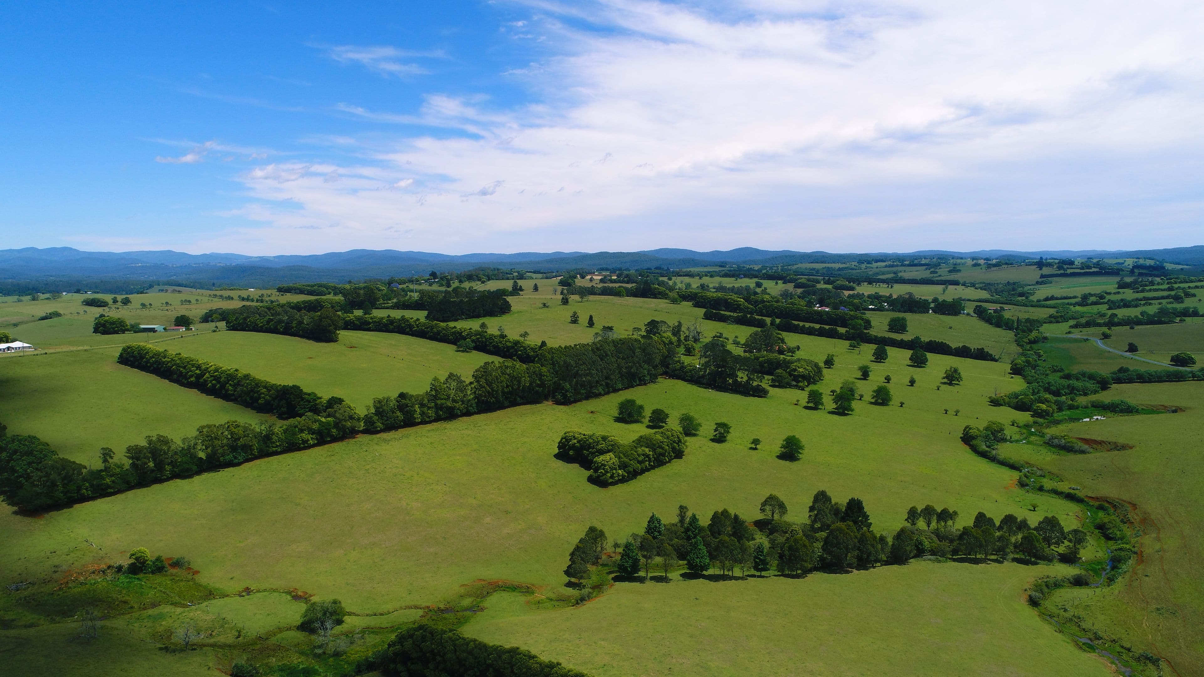 Dorrigo NSW 2453, Dorrigo - Image 1
