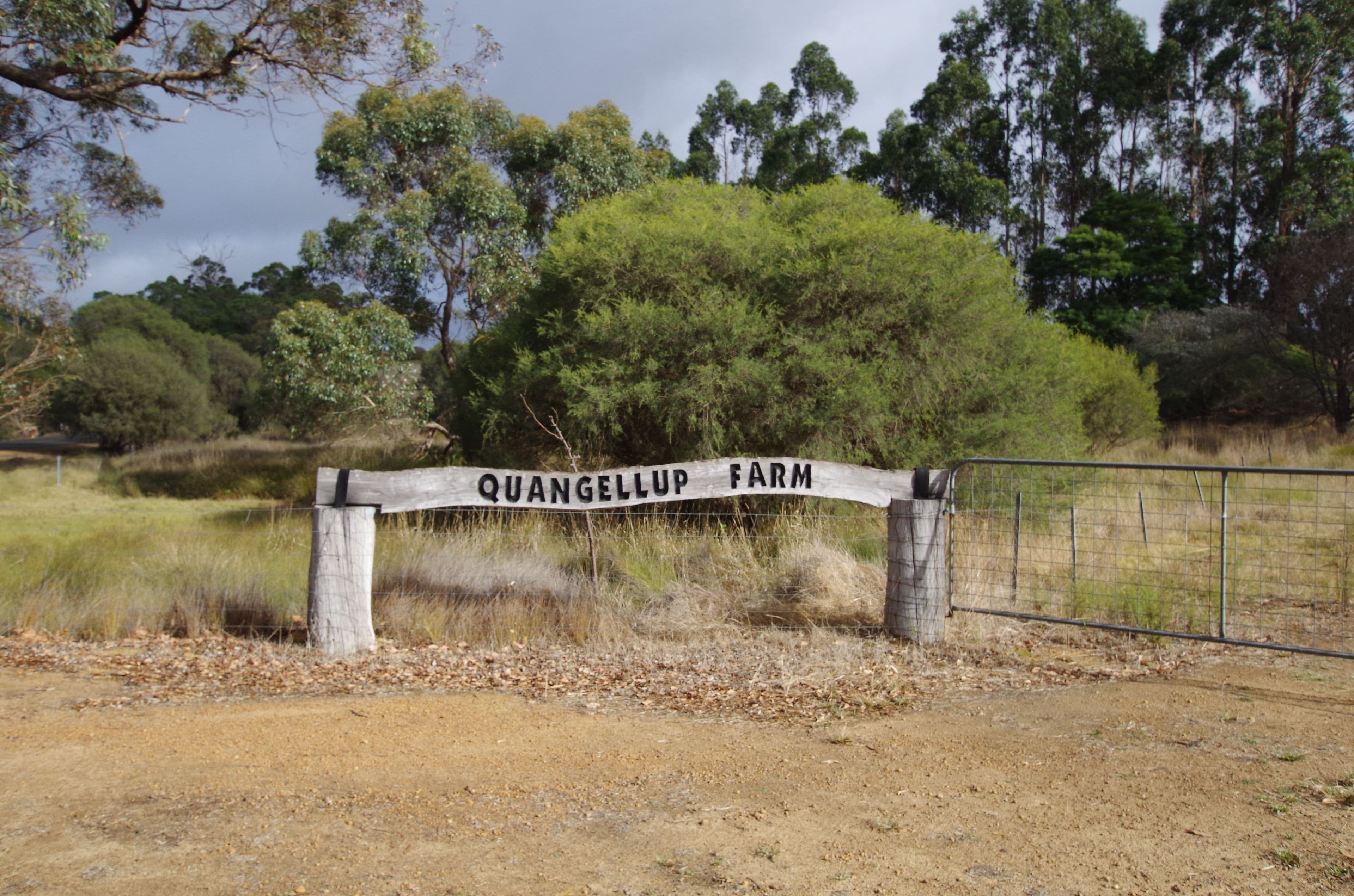 362 Quangellup Road, Mount Barker WA 6324, Mount Barker - Image 1