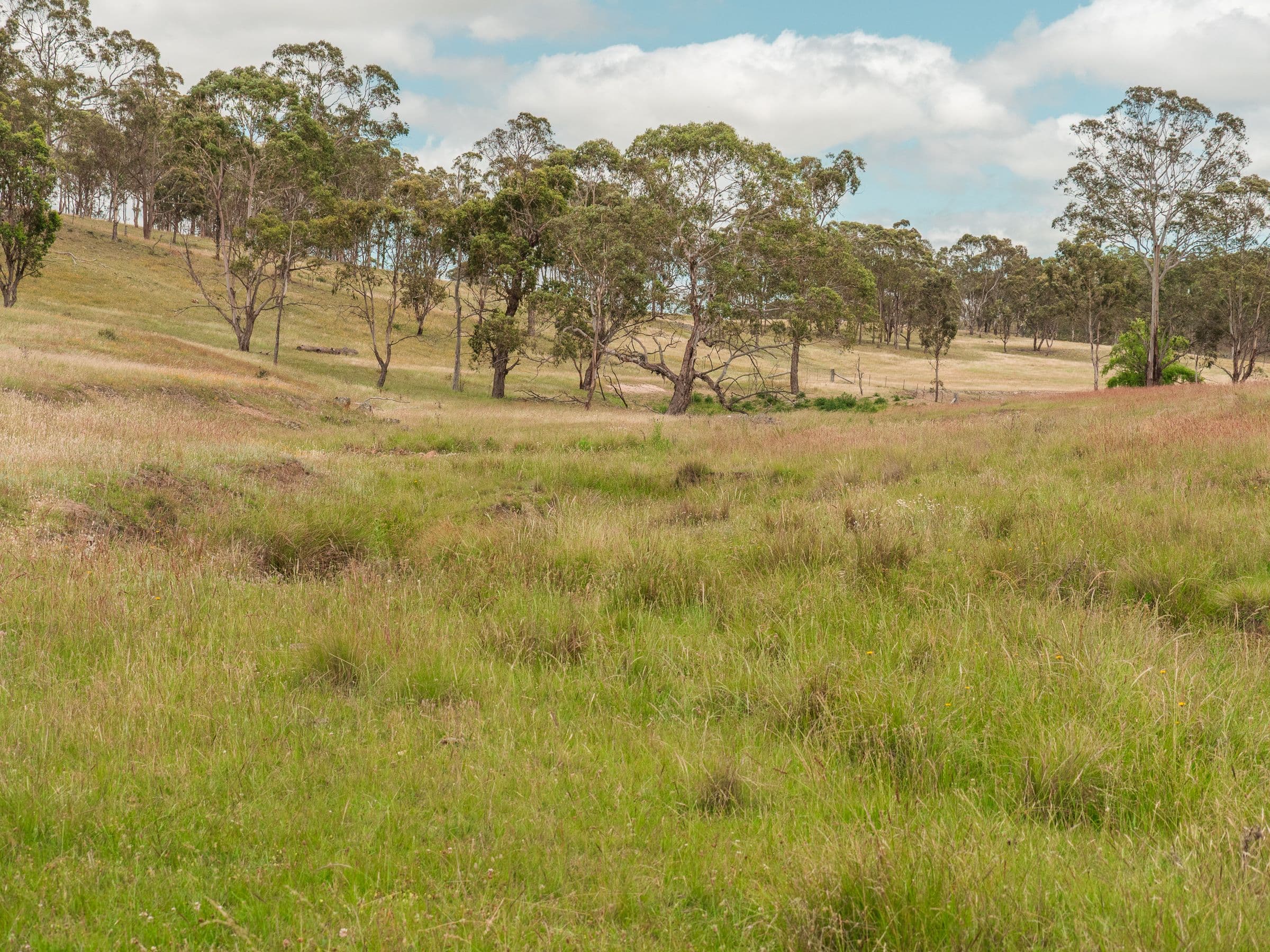 511 Long Swamp Road, Armidale NSW 2350, Armidale - Thumbnail 8