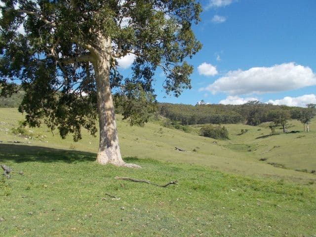 1472A Glendonbrook Road, GLENDON BROOK NSW 2330, Glendon Brook - Thumbnail 4