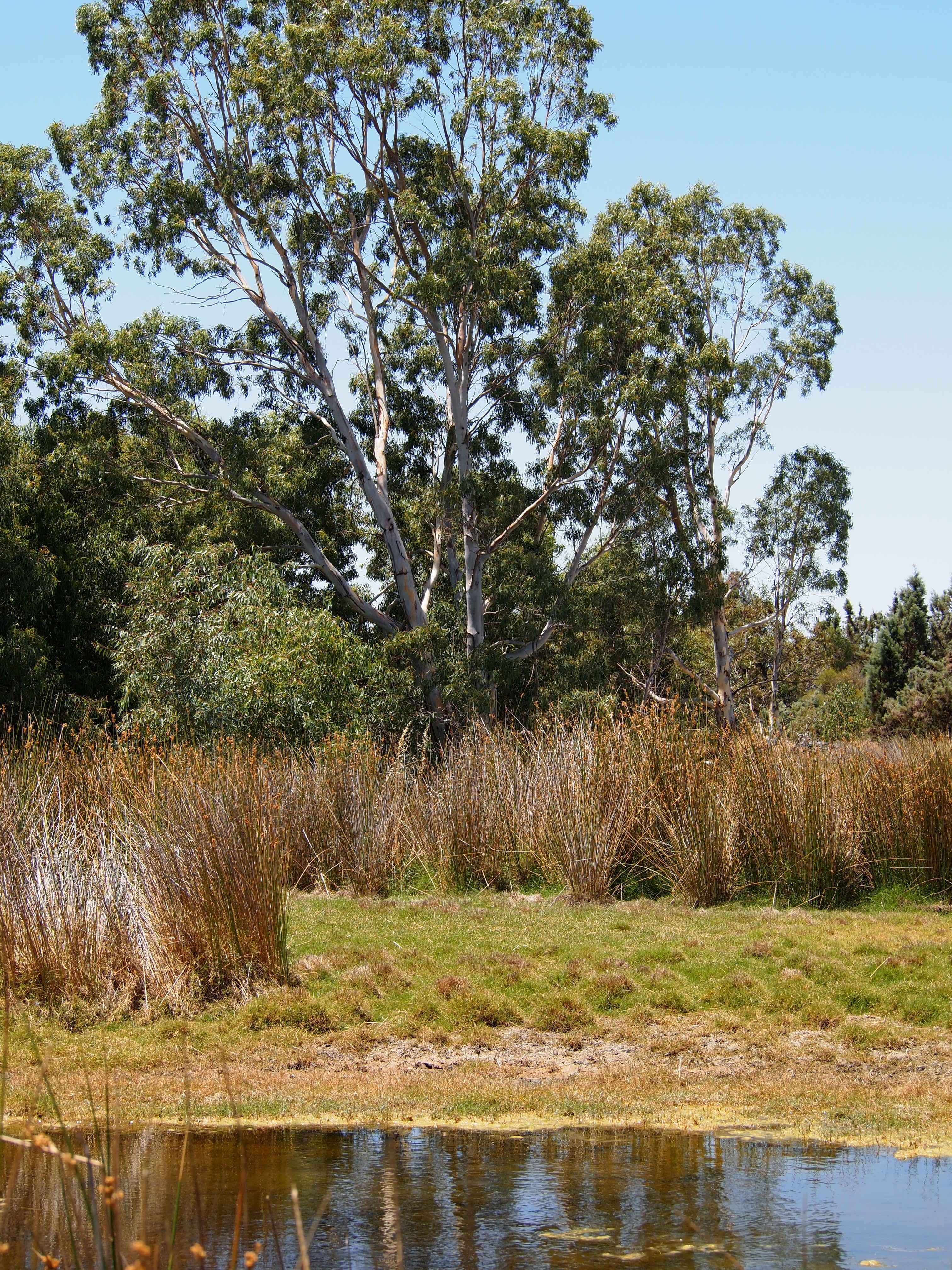 500 Dalwallinu West Road, Dalwallinu WA 6609, Dalwallinu - Thumbnail 3