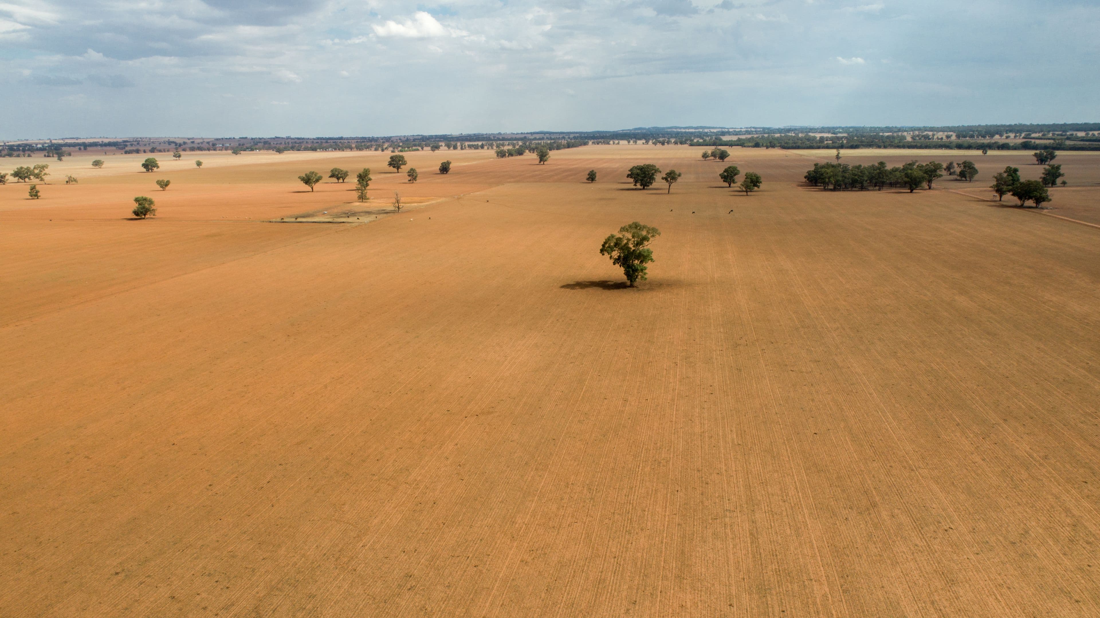 Coolamon NSW 2701, Coolamon - Thumbnail 2