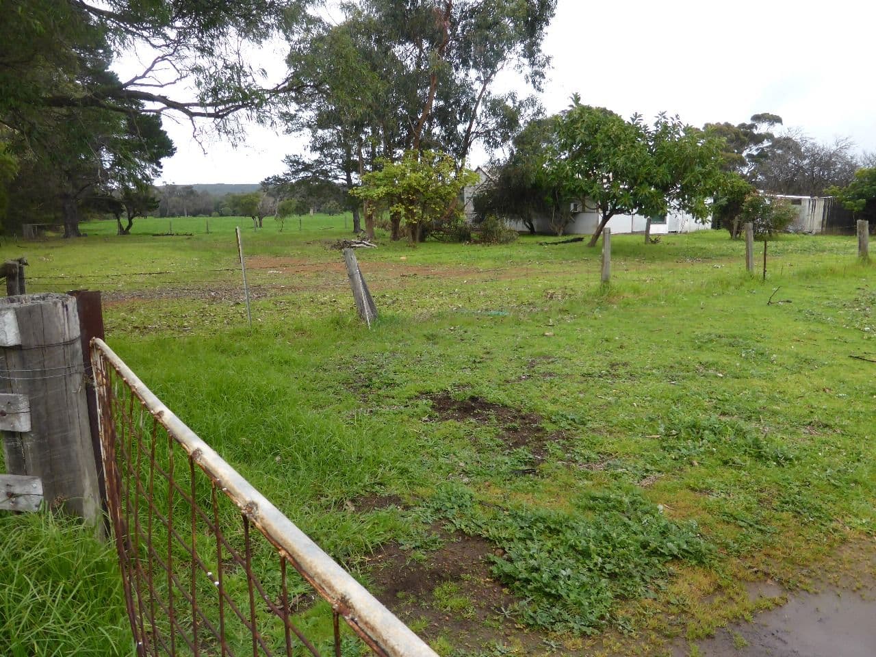 Proposed Lot 316 Bushby Road, Karridale WA 6288, Karridale - Thumbnail 5