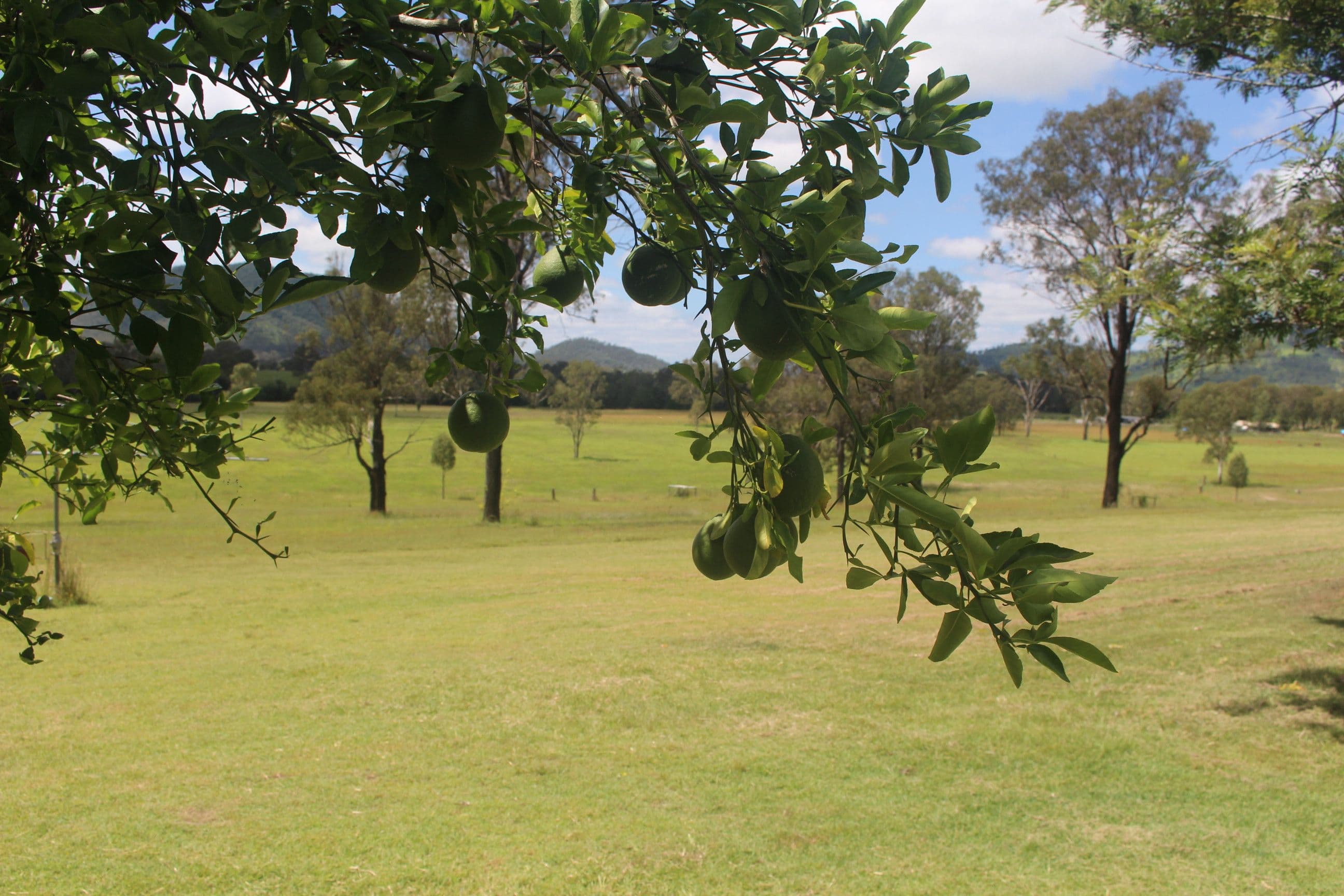 2956 Gympie Woolooga Road, Lower Wonga QLD 4570, Lower Wonga - Thumbnail 5