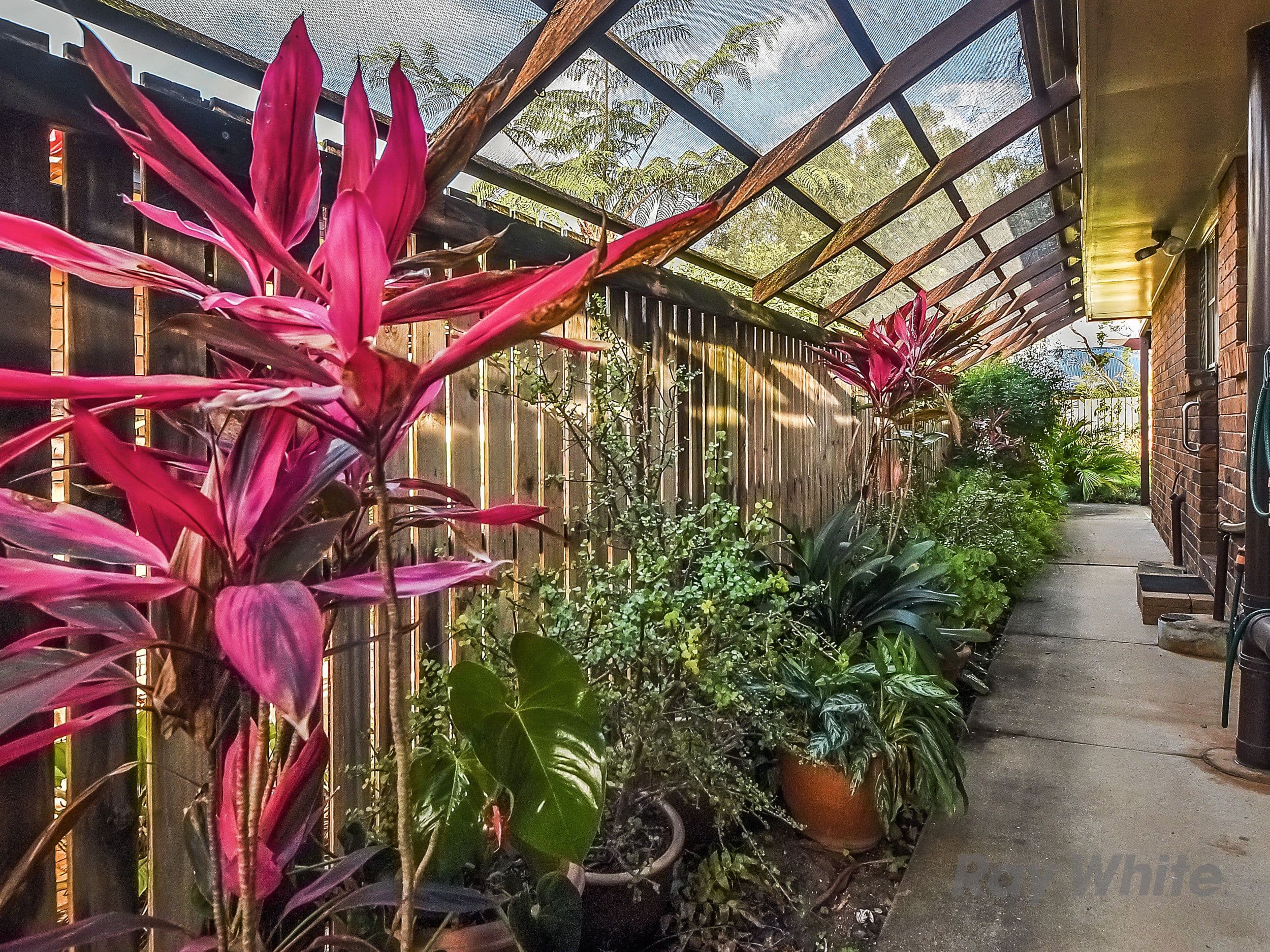 36 Andracia Street, Kallangur QLD 4503, Kallangur - Thumbnail 6