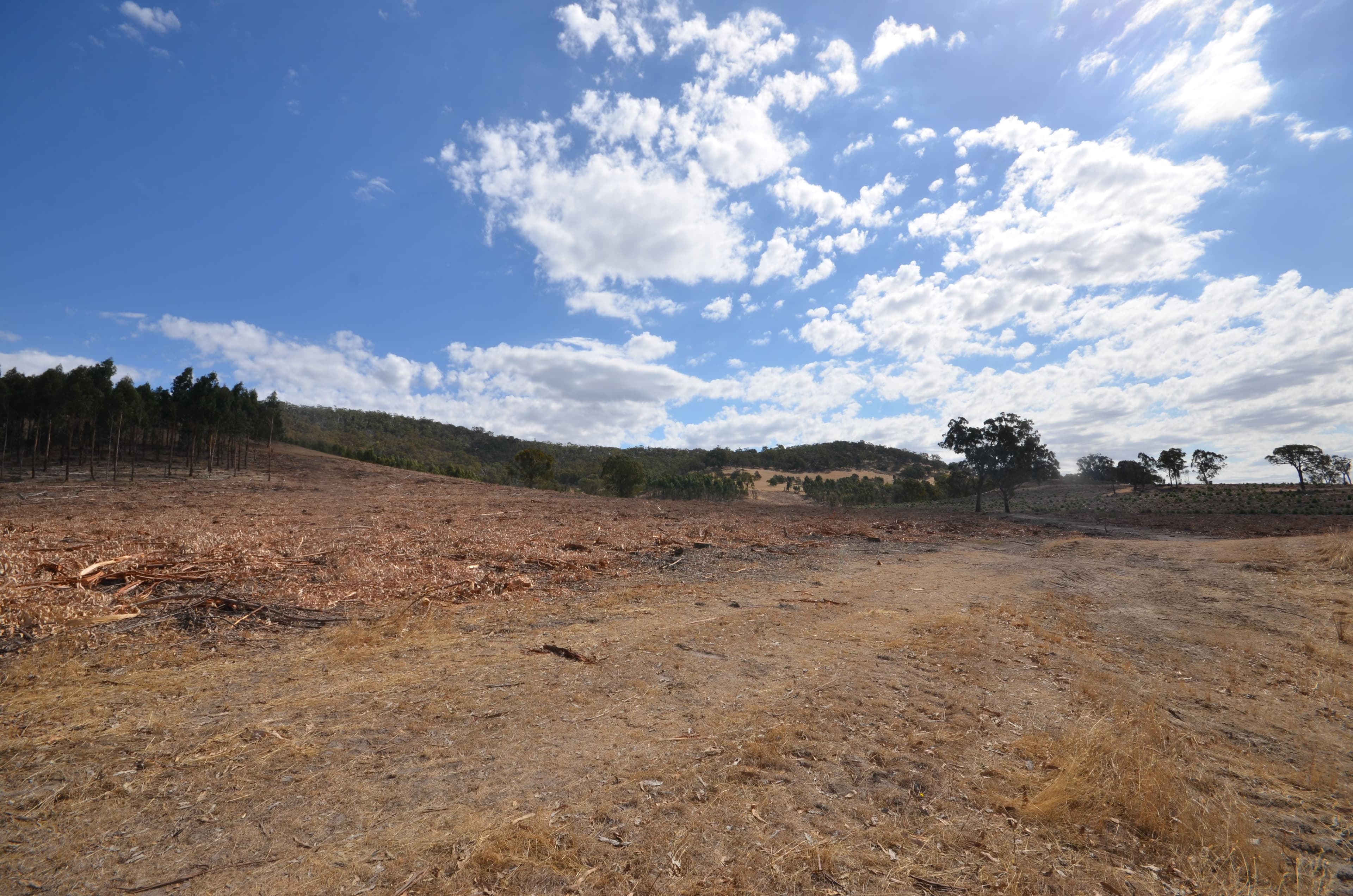 "Darbyshire" Hickman Creek Road, Glenlogie VIC 3469, Glenlogie - Thumbnail 4