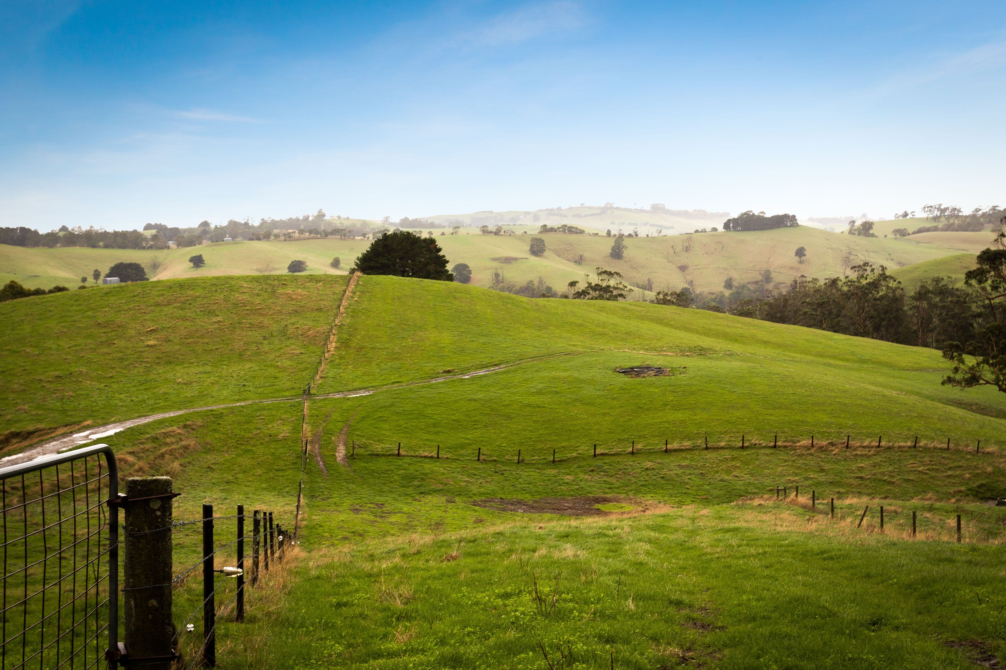 110 Rowes Road, Ranceby VIC 3951, Ranceby - Thumbnail 3
