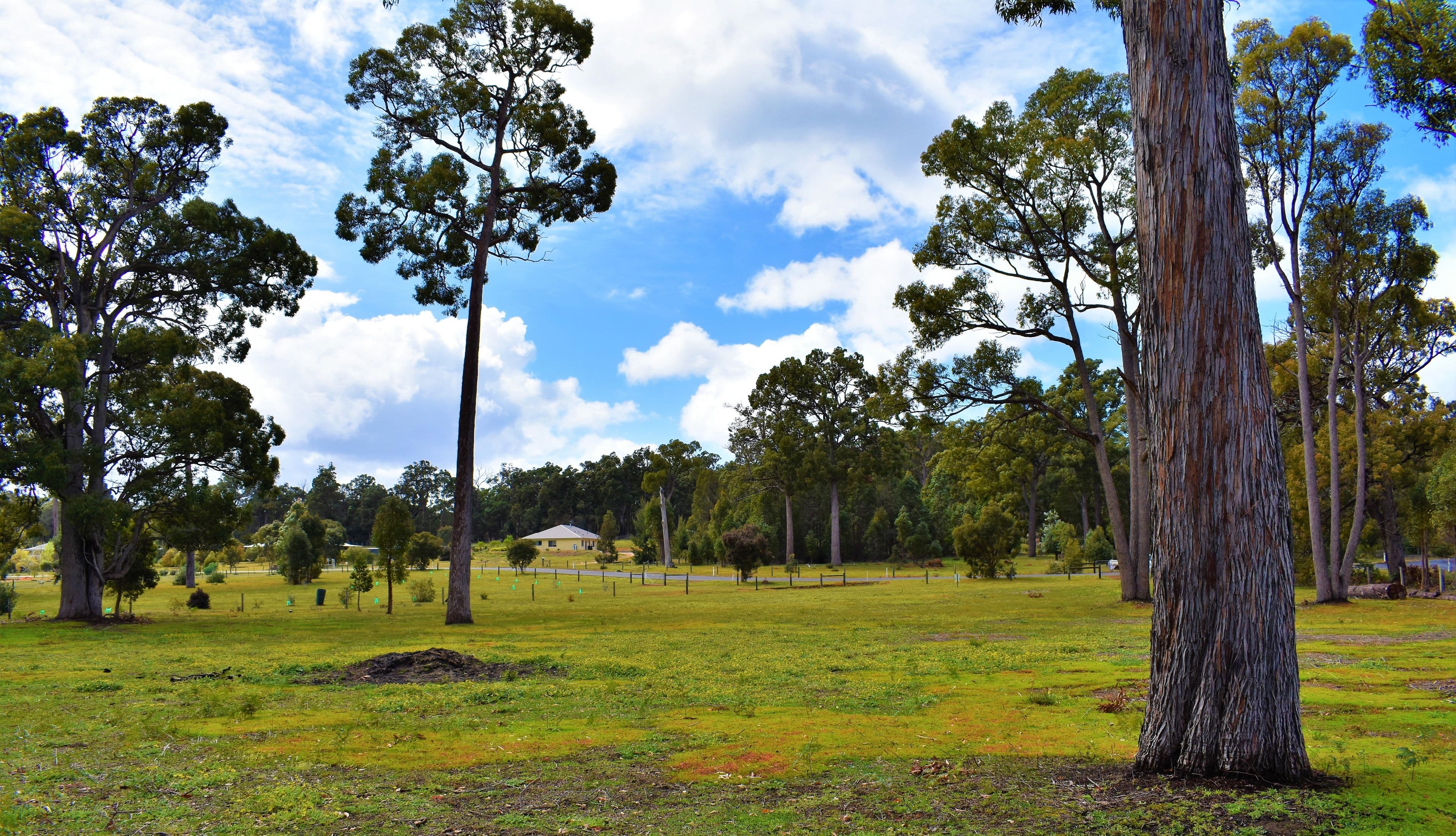49 Valley Way, Nannup WA 6275, Nannup - Thumbnail 2