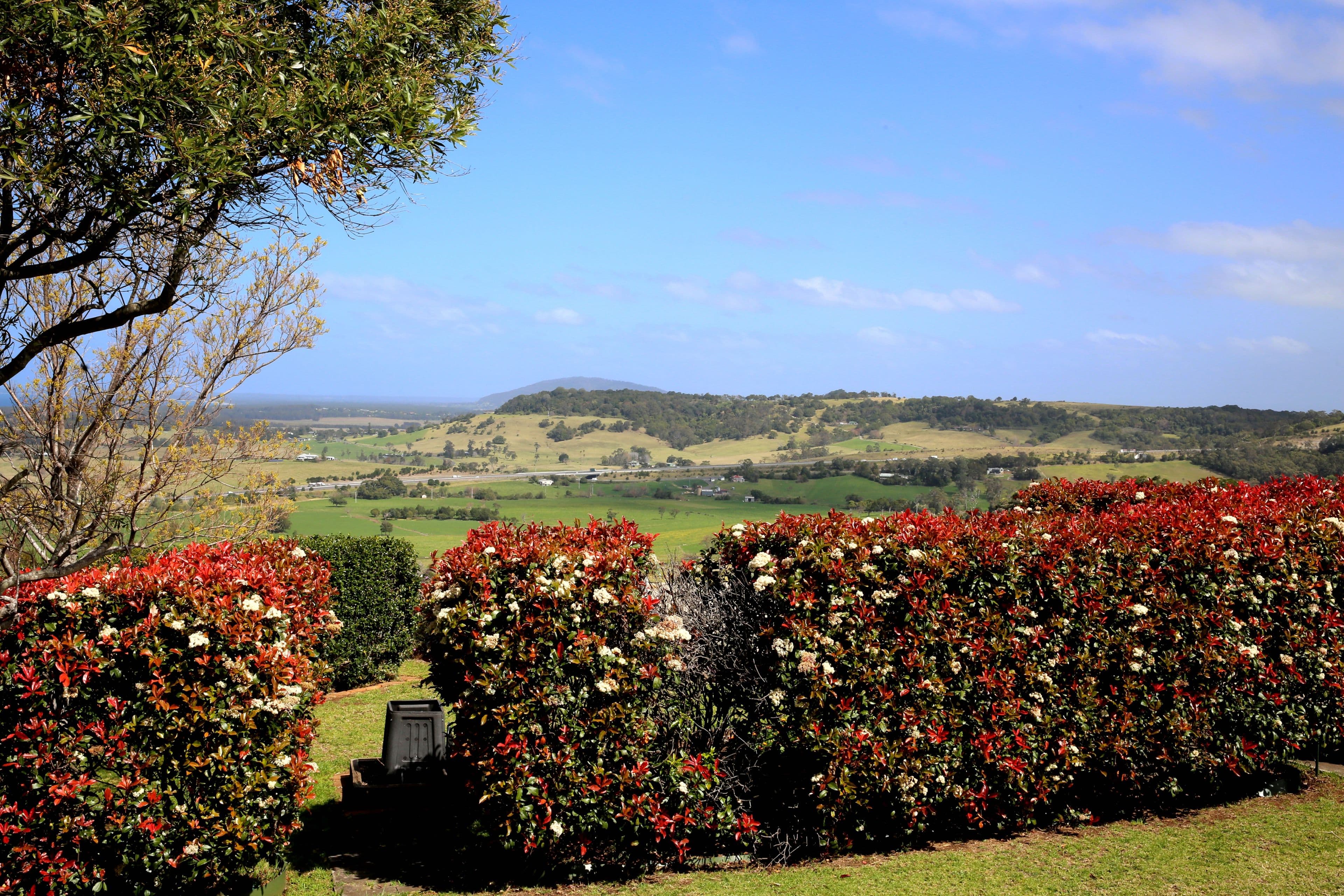 221 Willowvale Road, Gerringong NSW 2534, Gerringong - Thumbnail 2