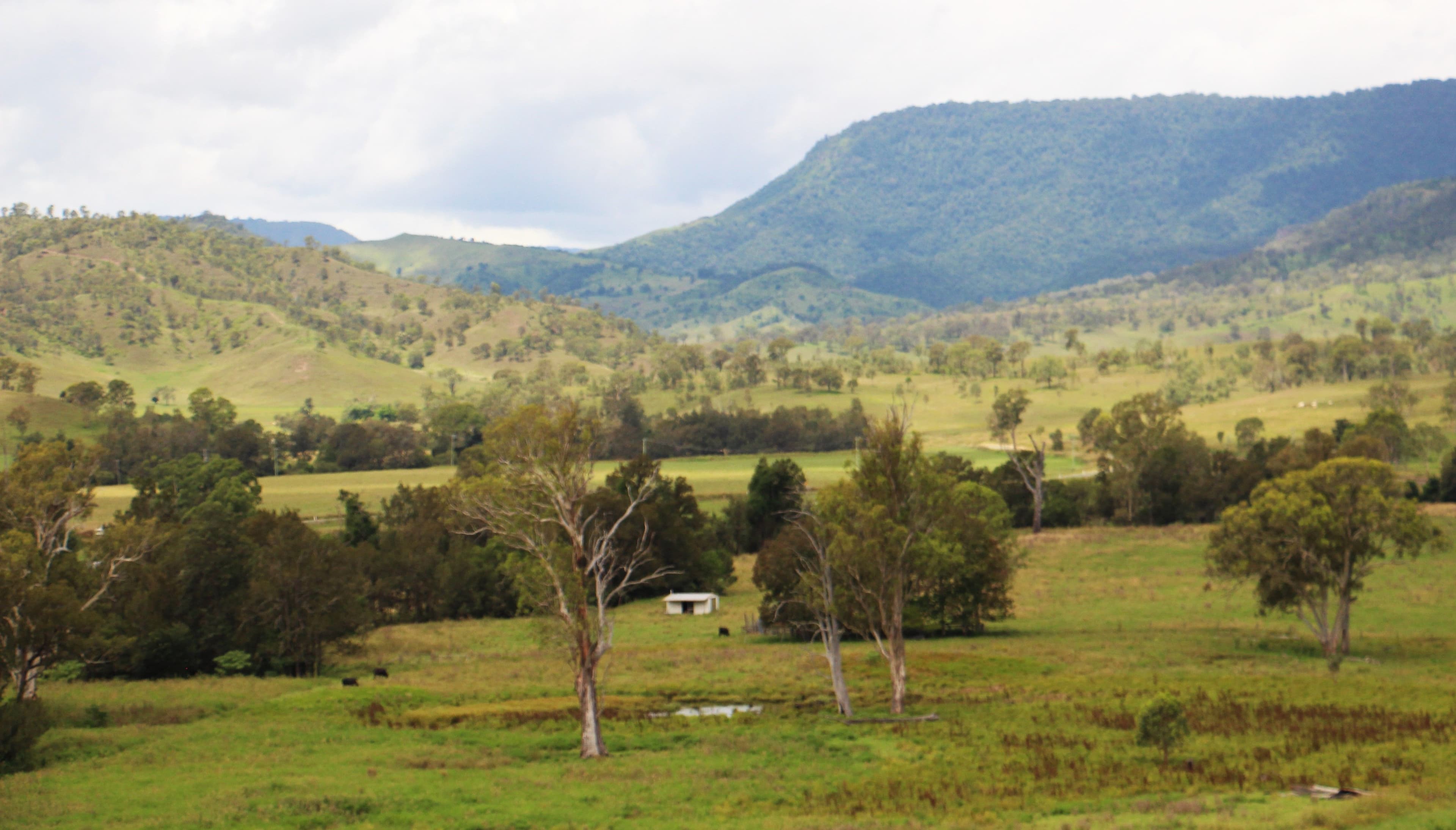 604 Running Creek Road, Running Creek QLD 4287, Running Creek - Thumbnail 8