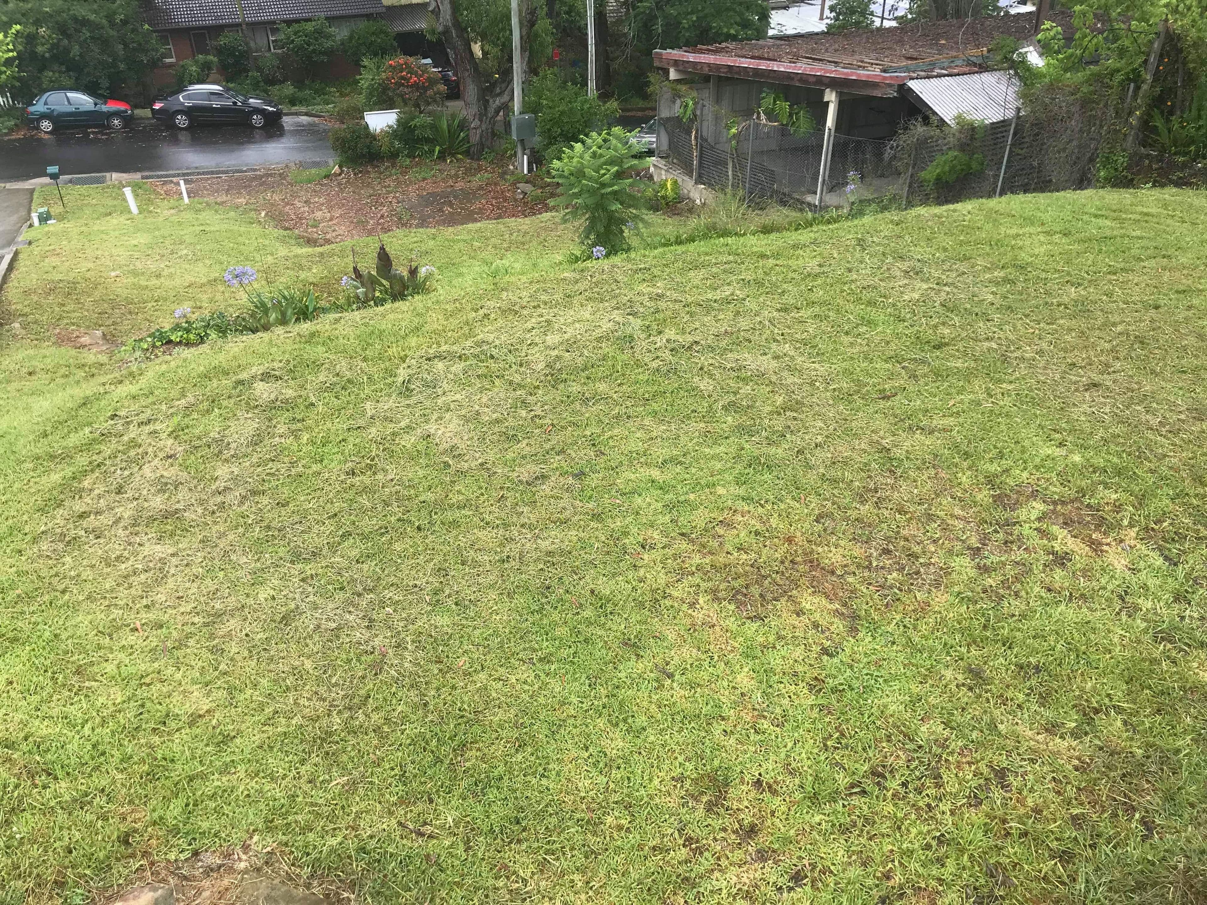 110 Dartford Road, Thornleigh NSW 2120, Thornleigh - Thumbnail 5