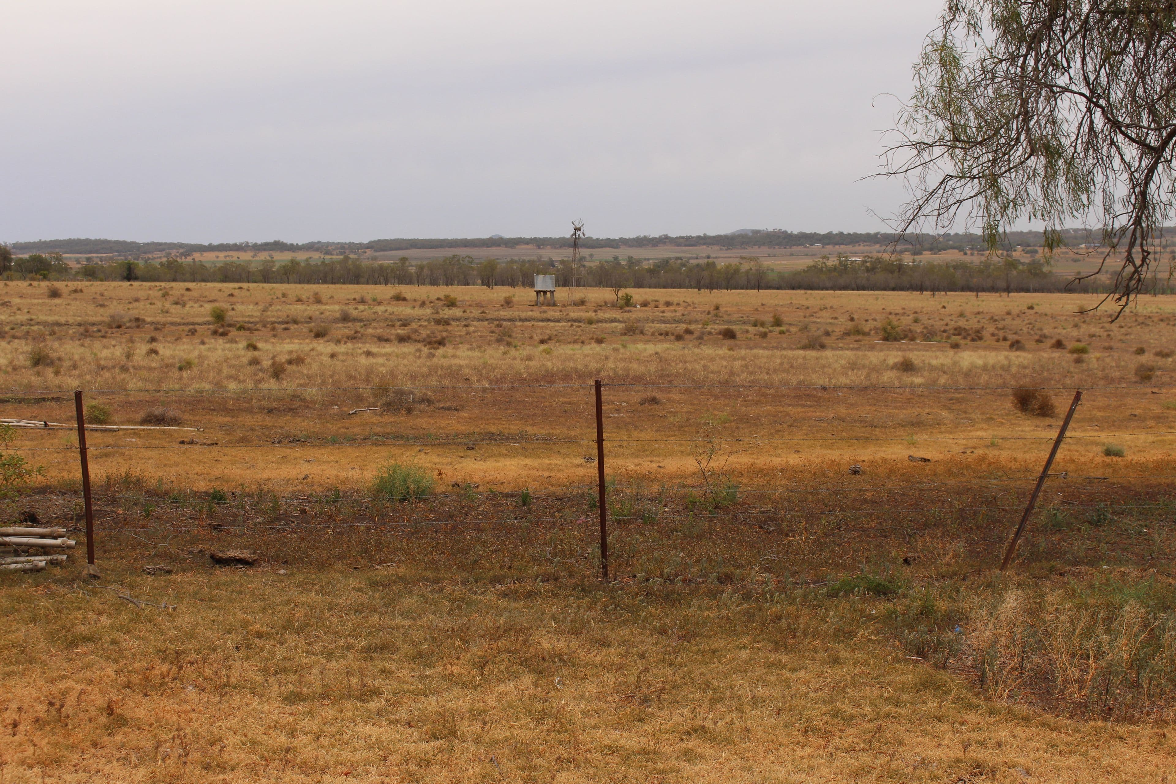 293 Heinemann Road, Scrubby Mountain, Pittsworth QLD 4356, Pittsworth - Thumbnail 5