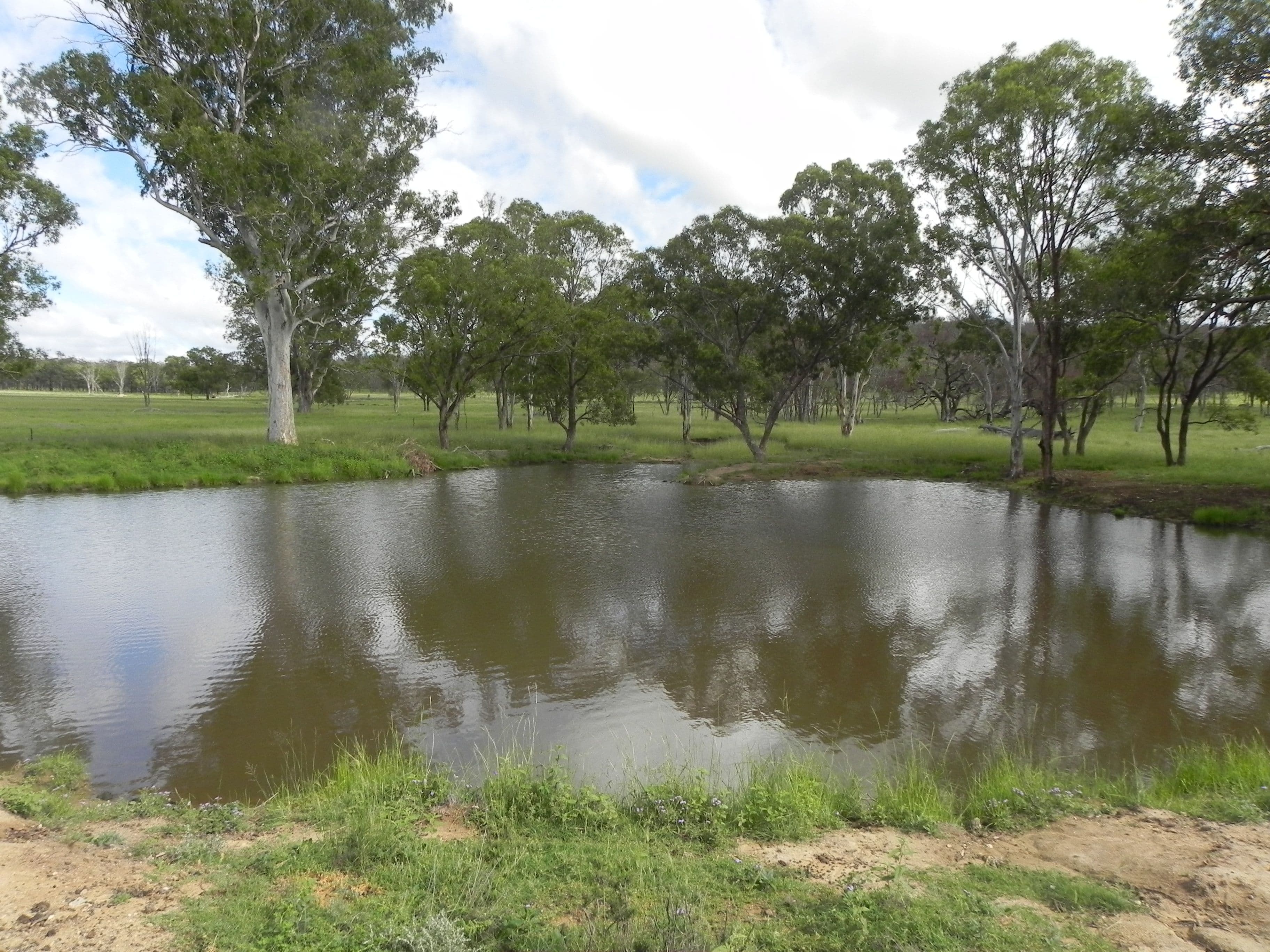 0 Cunningham Highway, Greymare QLD 4370, Greymare - Thumbnail 2