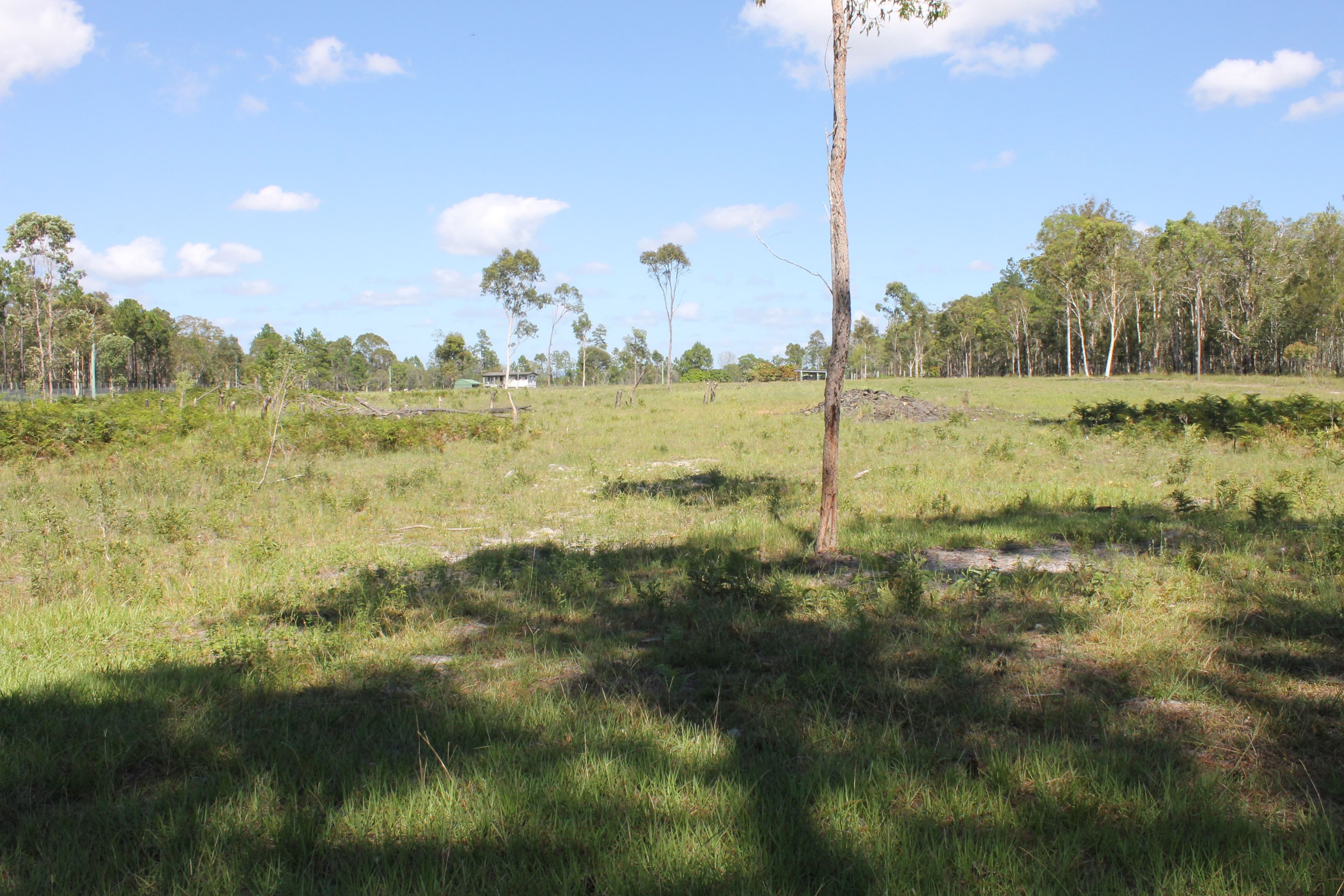 411-449 Bribie Island Road, Caboolture QLD 4510, Caboolture - Thumbnail 2