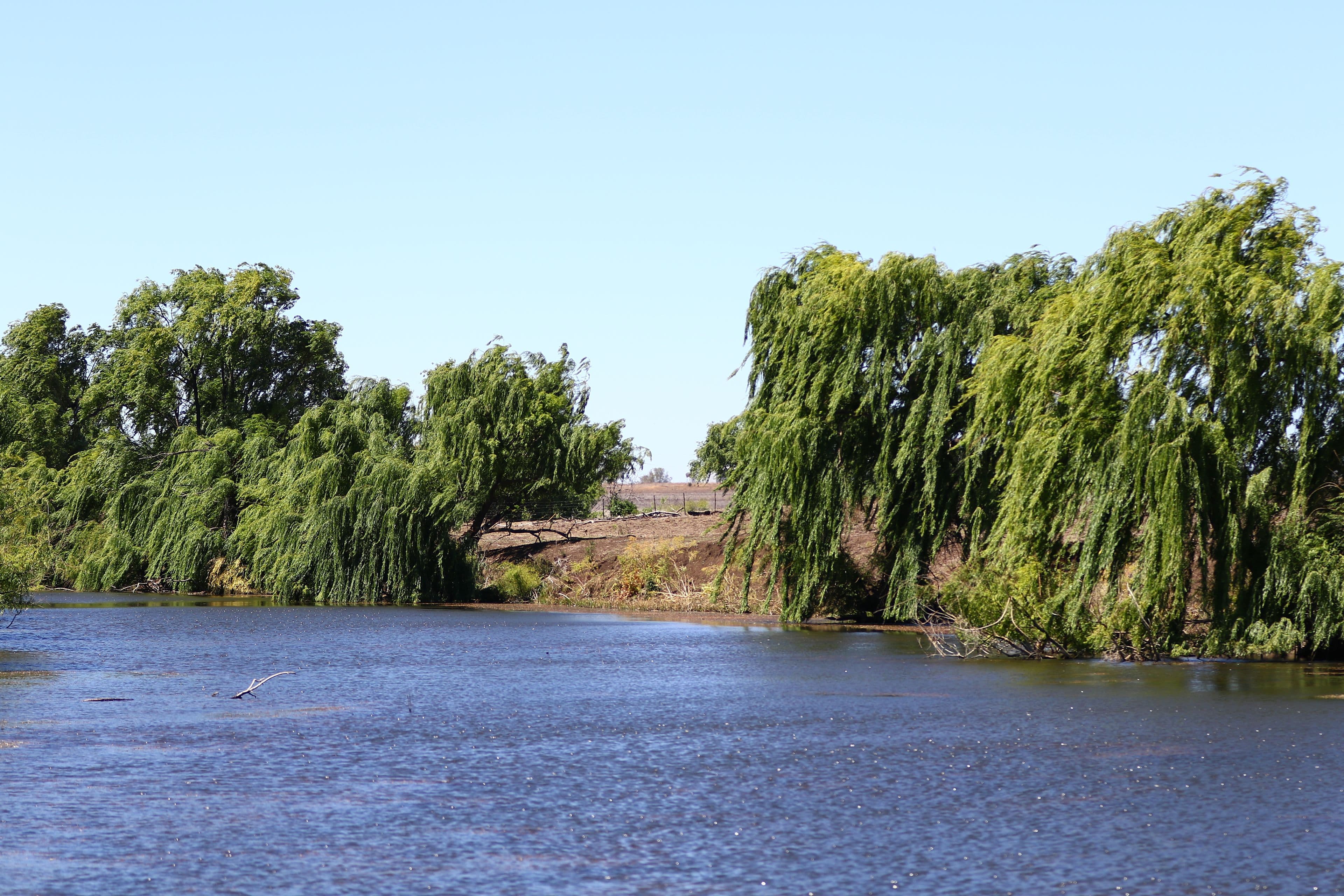 99 Moseley Dene Road, Inverell NSW 2360, Inverell - Thumbnail 5