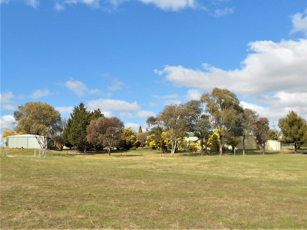 80 Blacks Mill Lane, O'Connell NSW 2795, O'Connell - Thumbnail 5